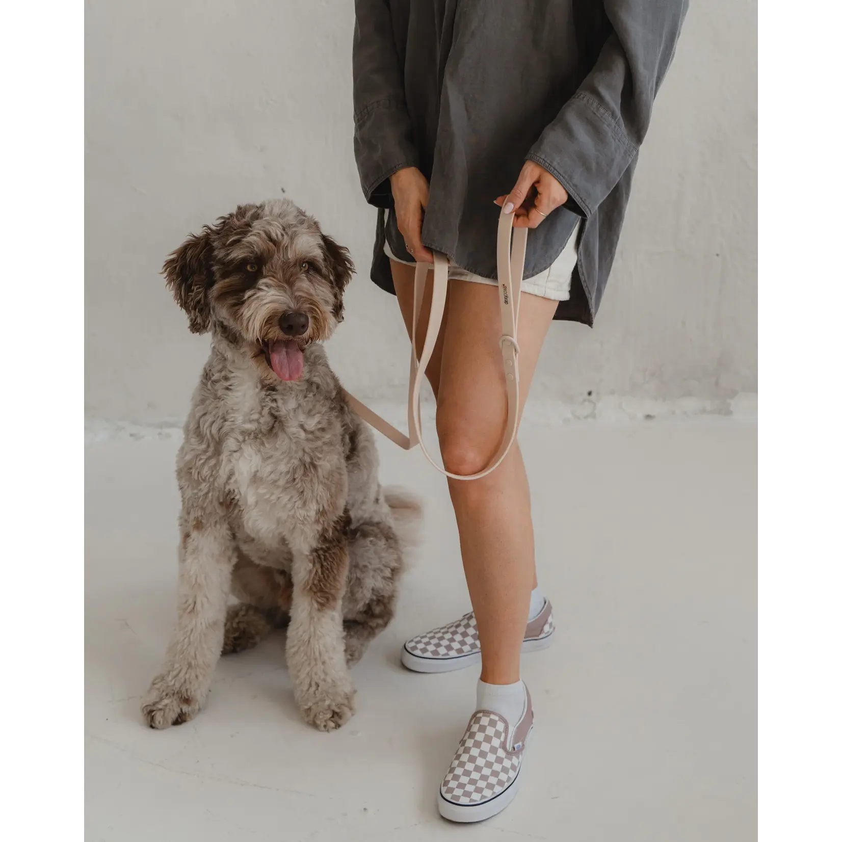 Dexypaws Dexypaws: Nude Waterproof Dog Leash