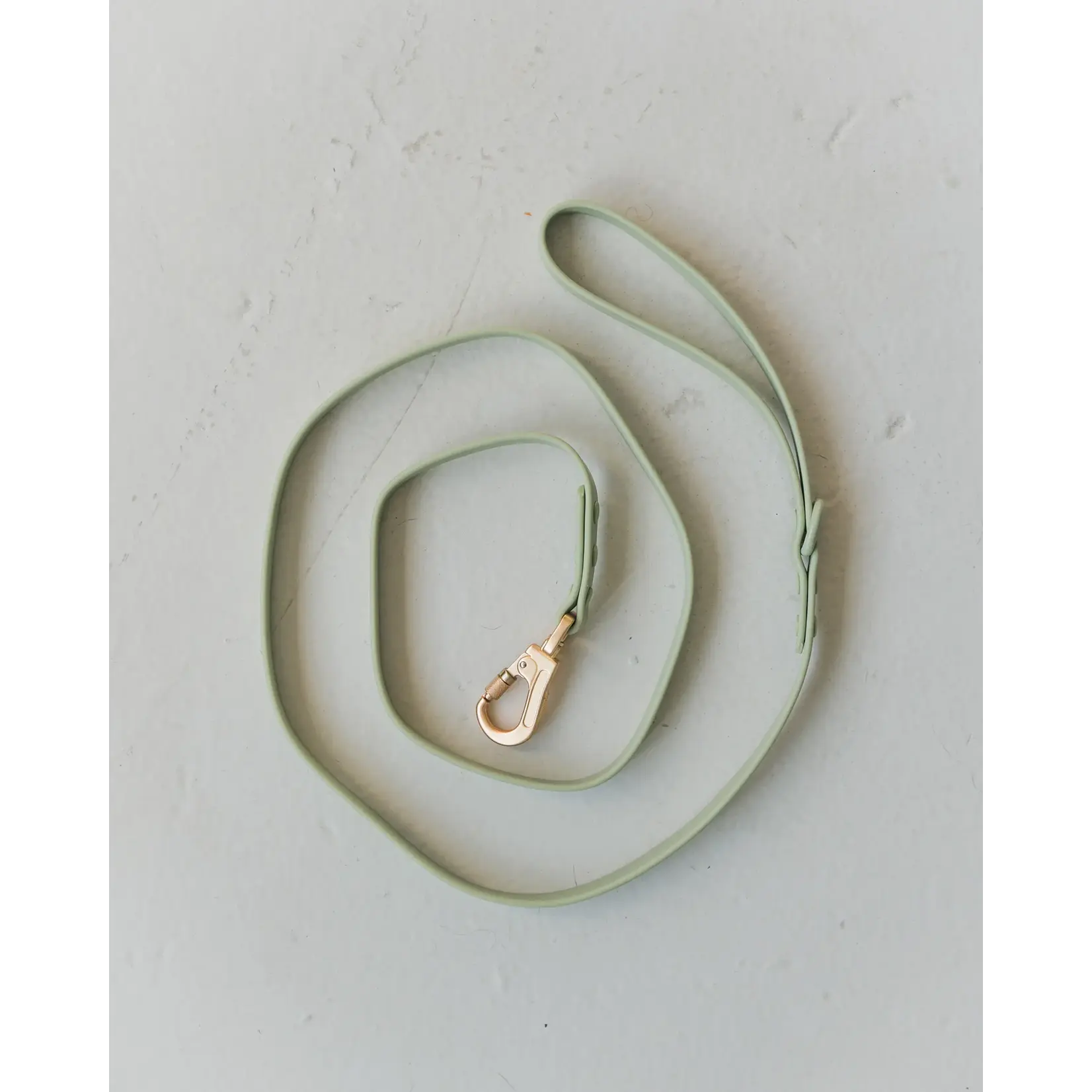 Dexypaws Dexypaws: Sage Green Waterproof Dog Leash