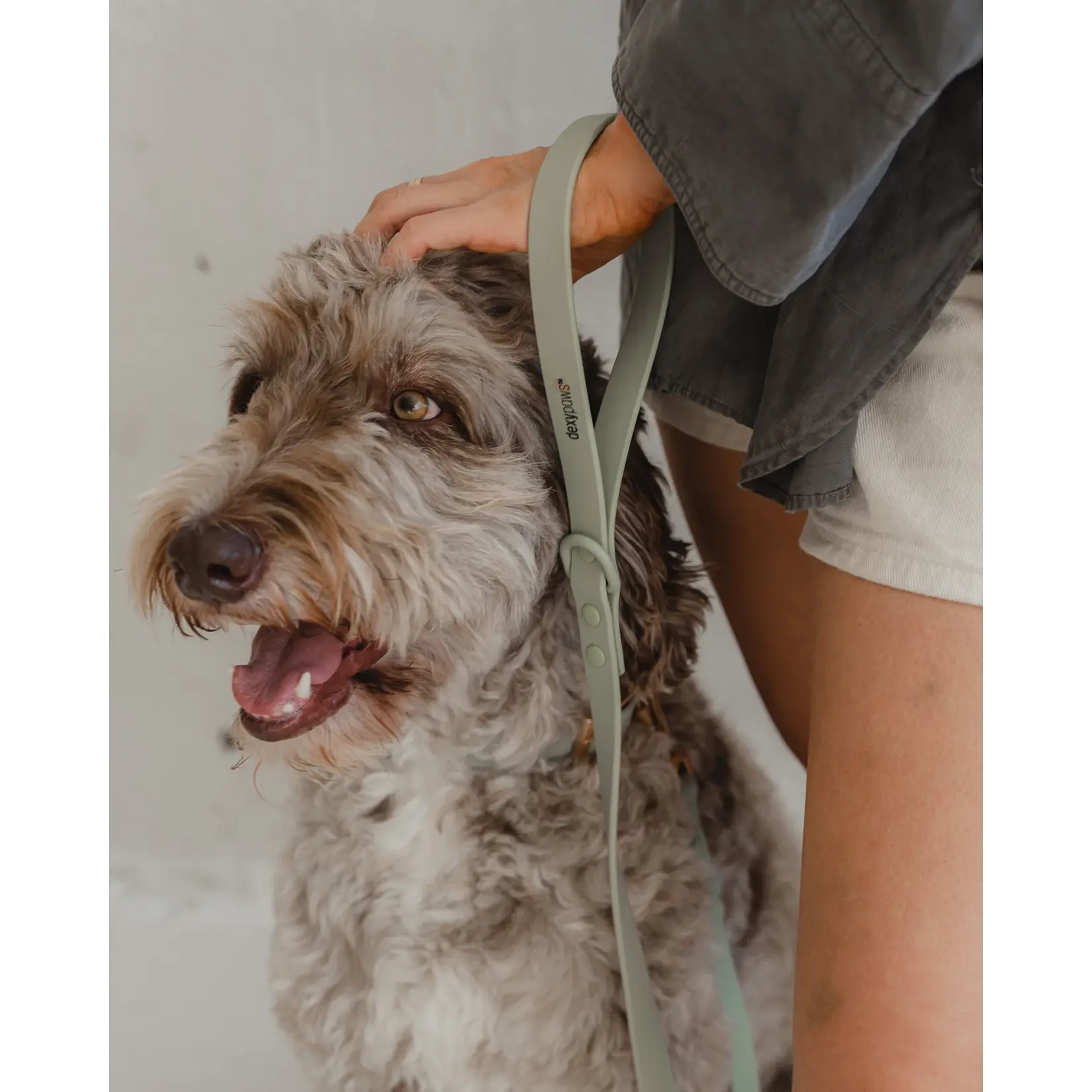 Dexypaws Dexypaws: Sage Green Waterproof Dog Leash