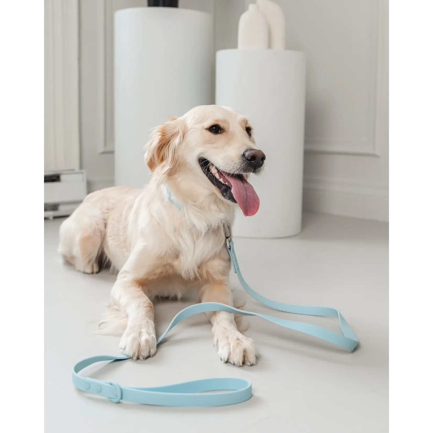 Dexypaws Dexypaws: Sky Blue Waterproof Dog Leash