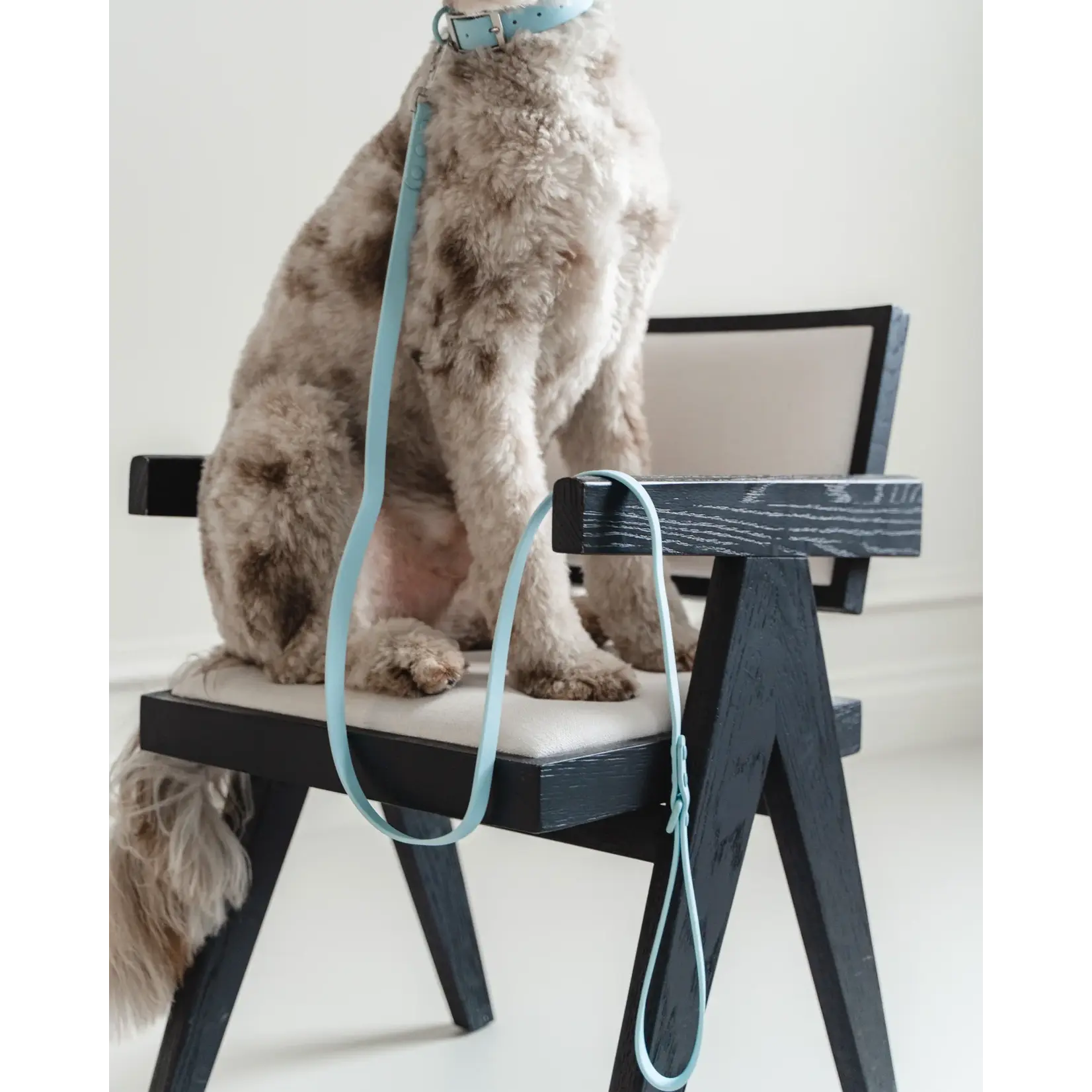 Dexypaws Dexypaws: Sky Blue Waterproof Dog Leash
