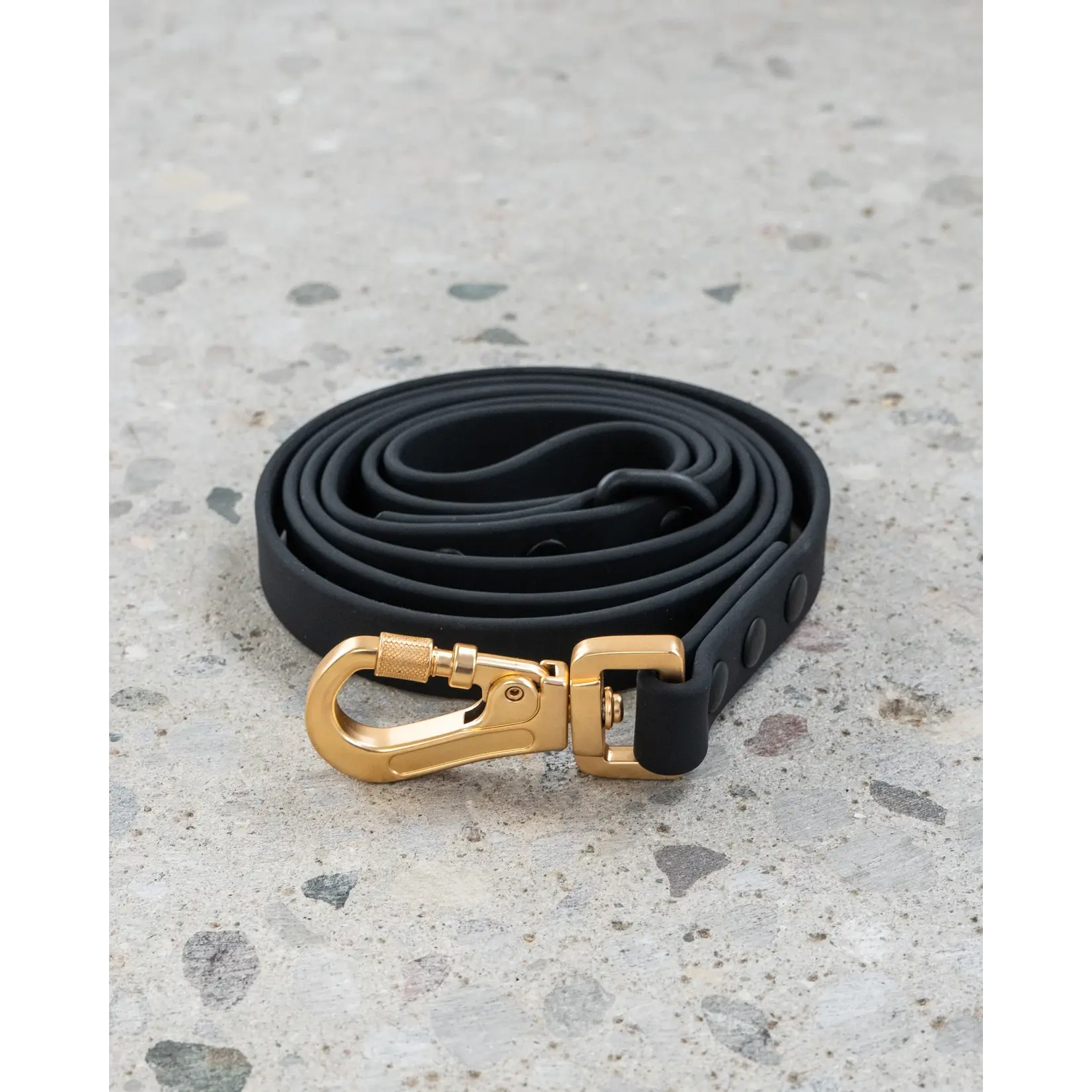 Dexypaws Dexypaws: Black Waterproof Dog Leash