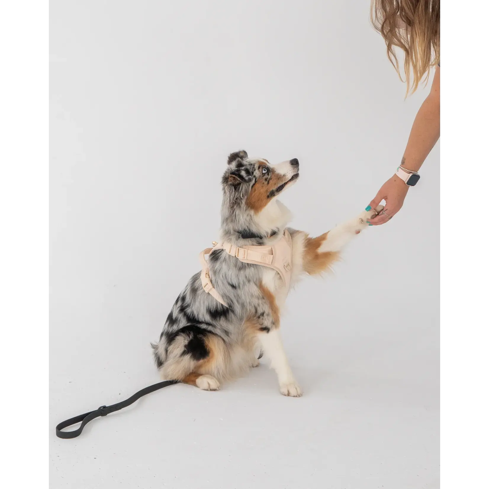 Dexypaws Dexypaws: Nude No-Pull Dog Harness