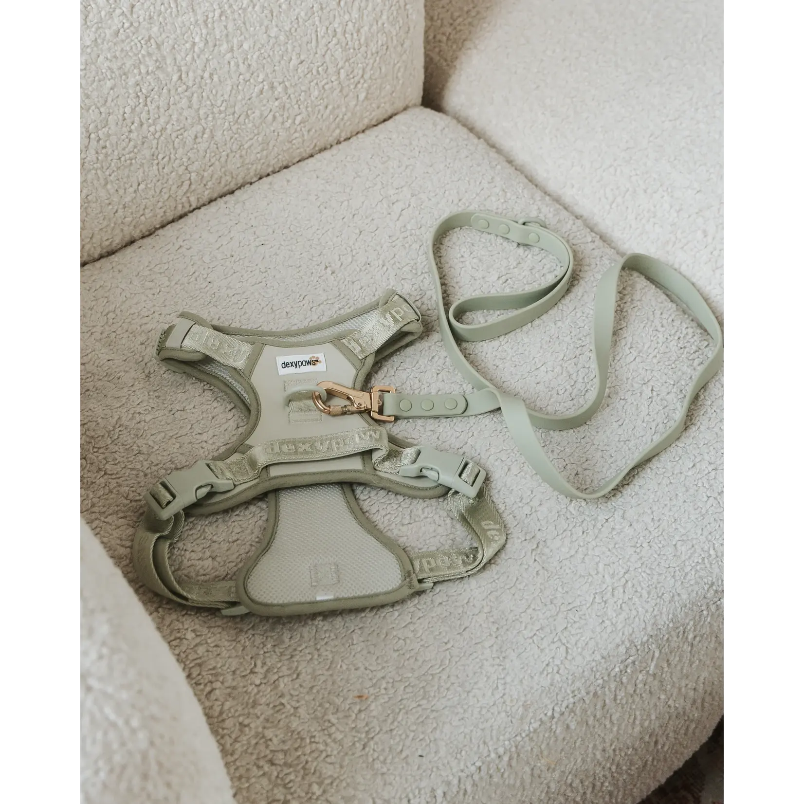 Dexypaws Dexypaws: Sage Green No-Pull Dog Harness