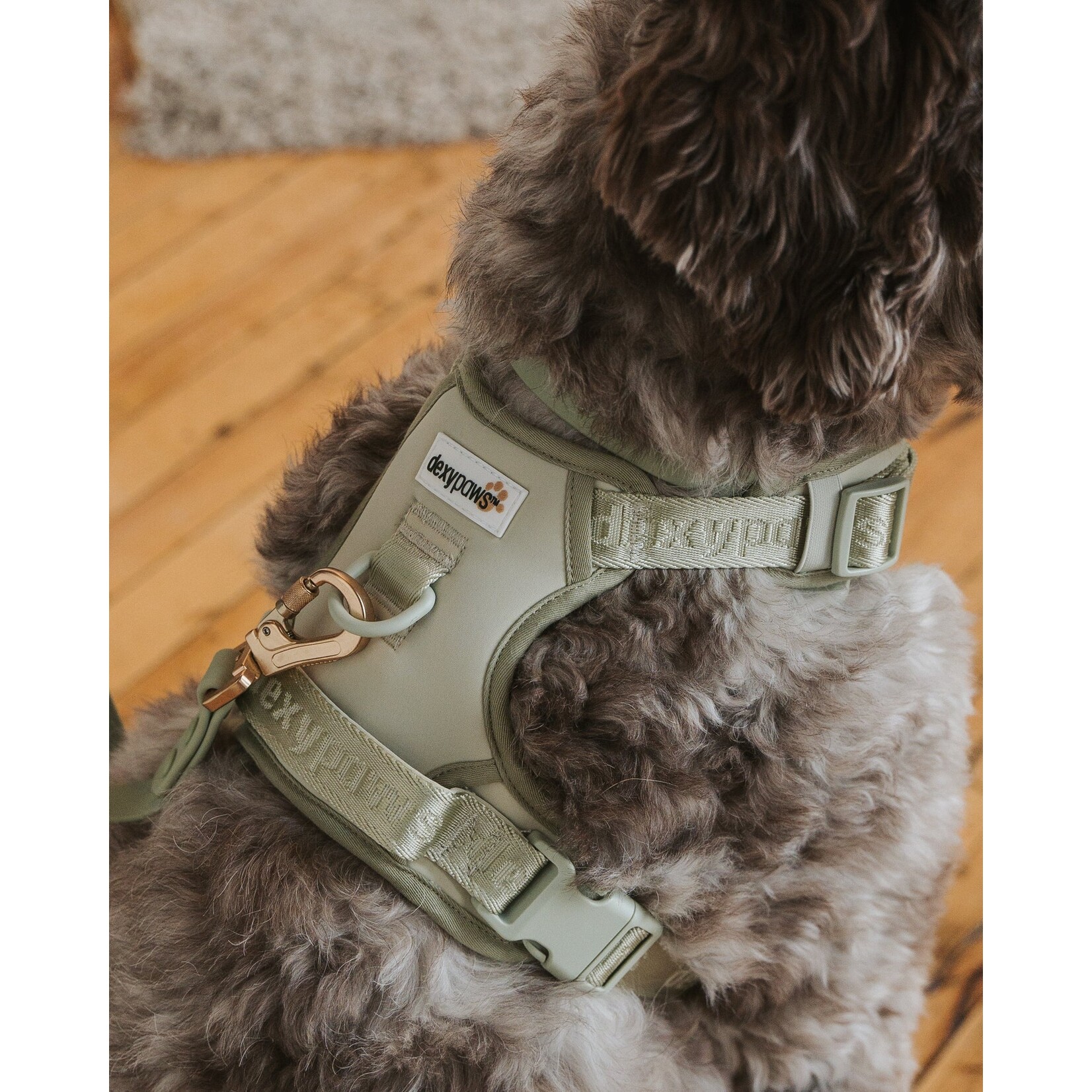 Dexypaws Dexypaws: Sage Green No-Pull Dog Harness
