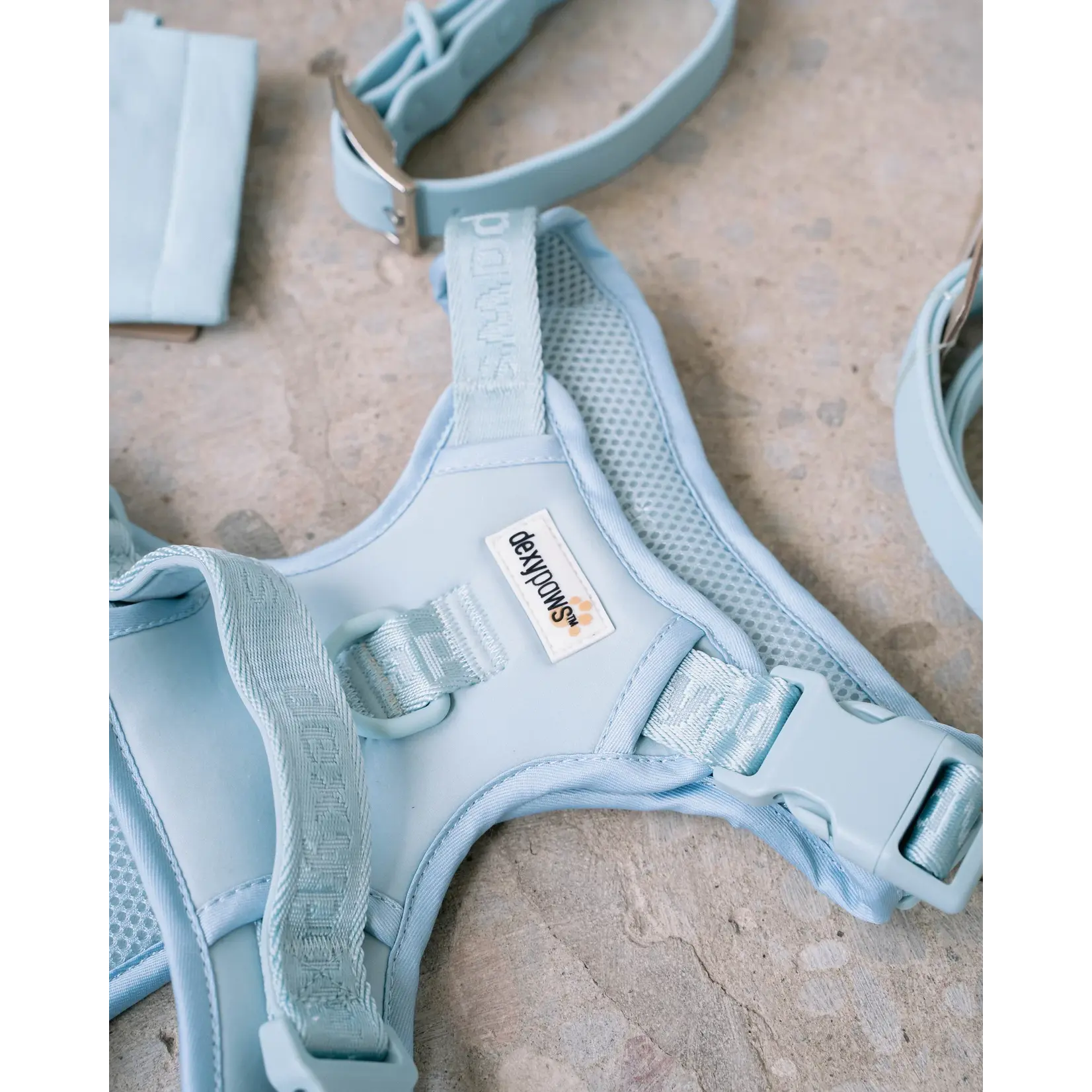 Dexypaws Dexypaws: Sky Blue No-Pull Dog Harness