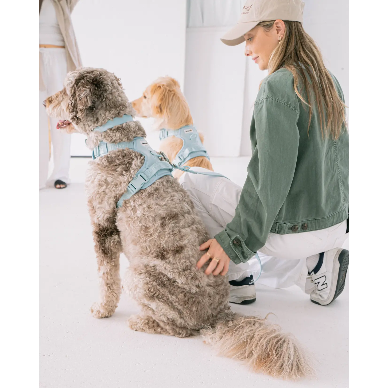 Dexypaws Dexypaws: Sky Blue No-Pull Dog Harness