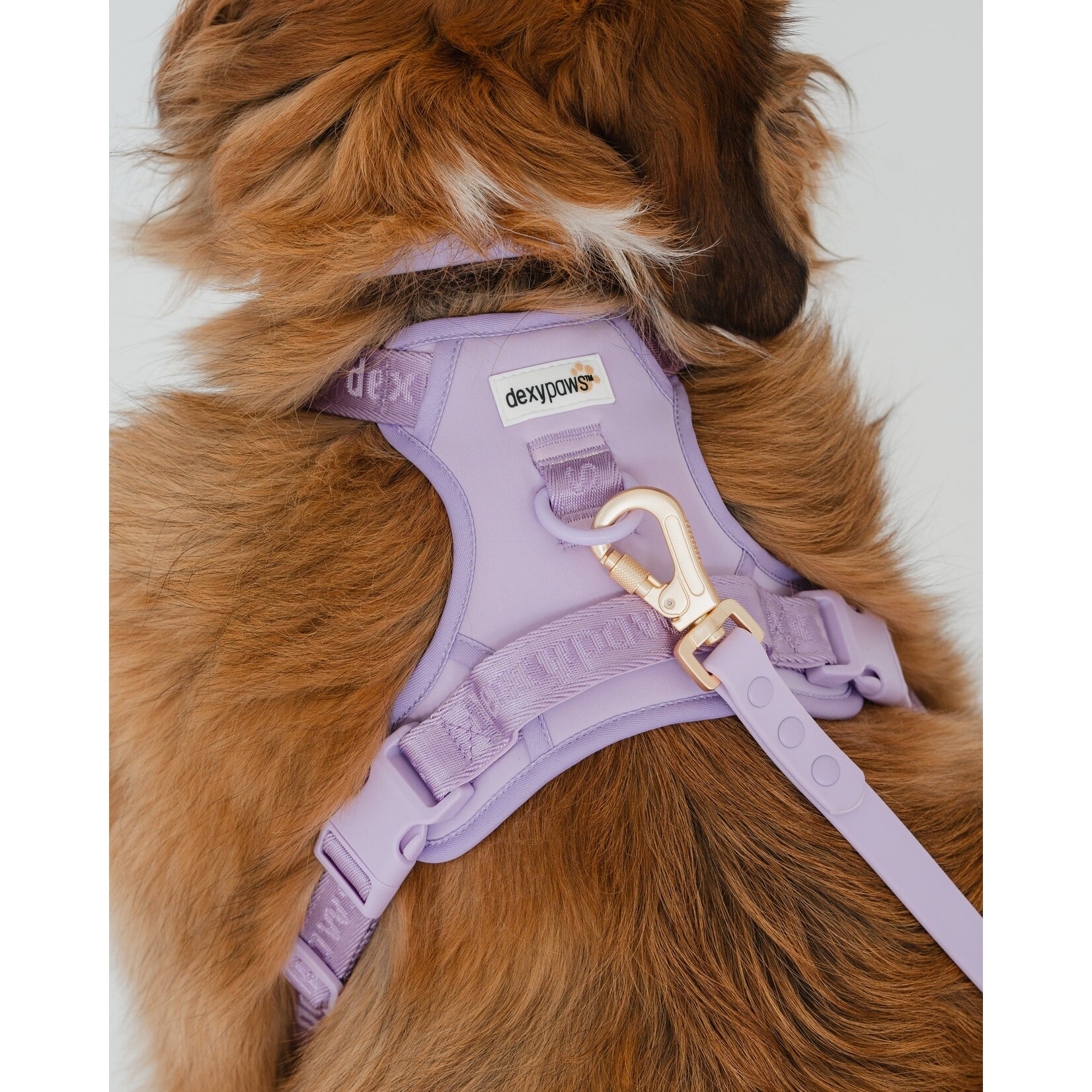 Dexypaws Dexypaws: Lilac No-Pull Dog Harness