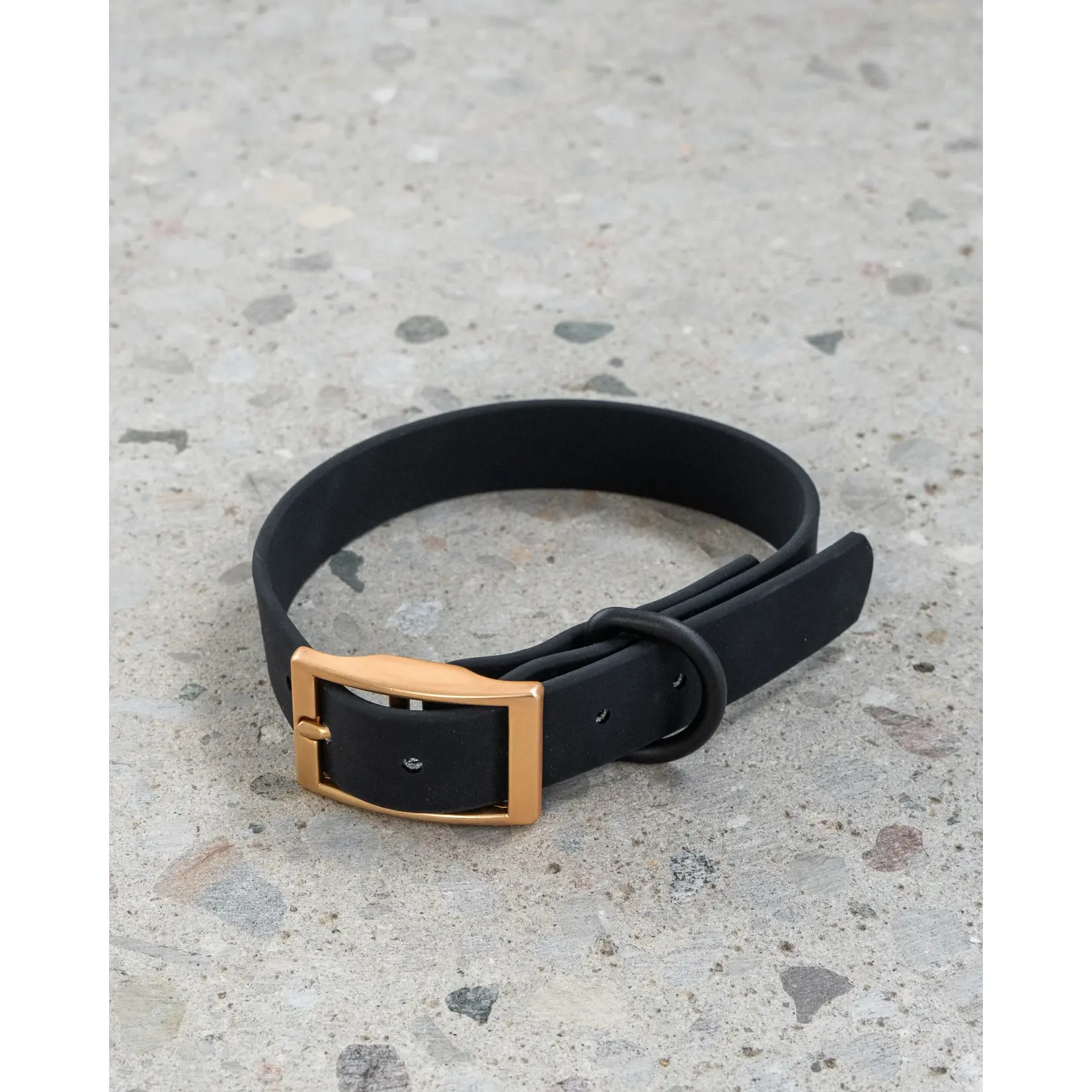 Dexypaws Dexypaws: Black Waterproof Dog Collar