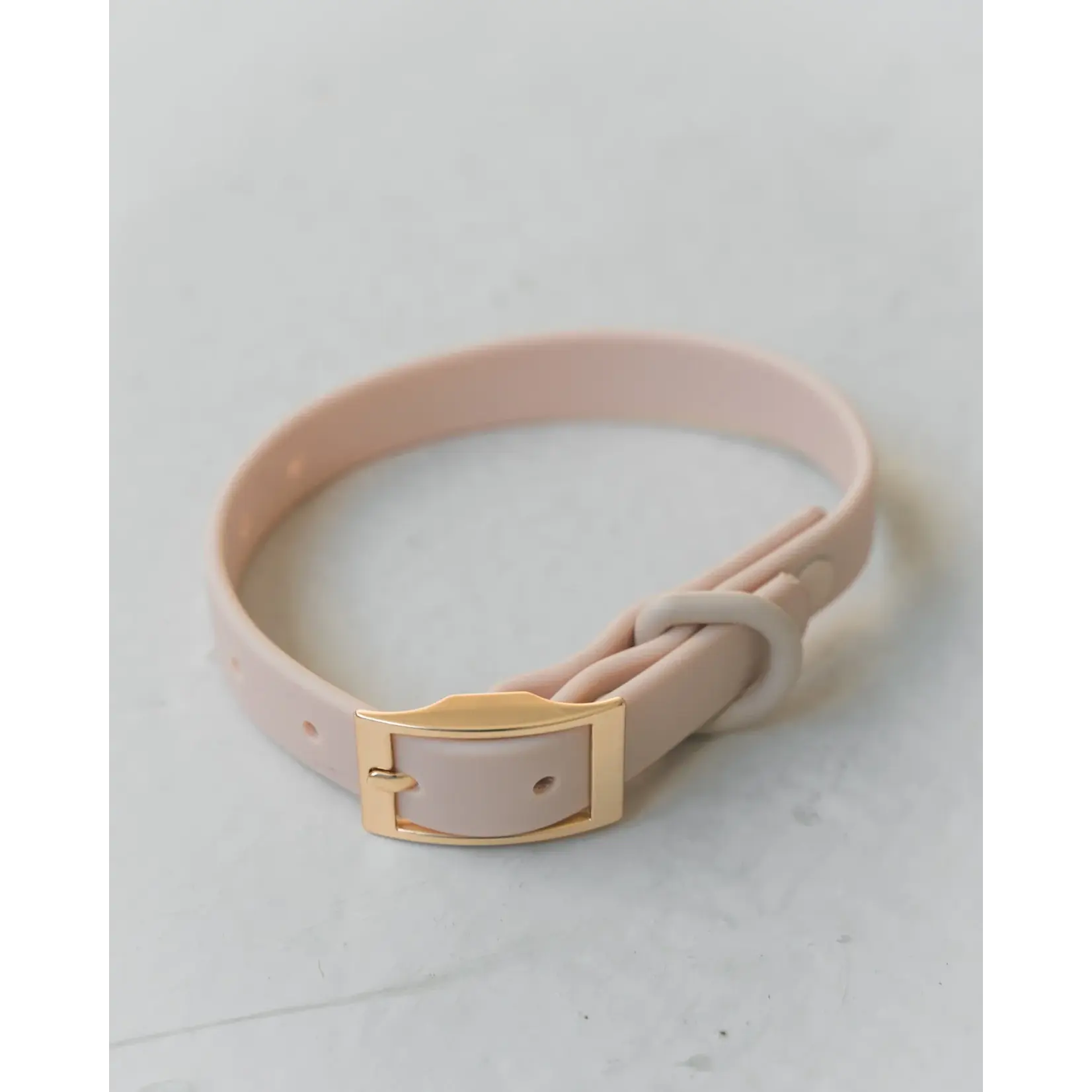 Dexypaws Dexypaws: Nude Waterproof Dog Collar