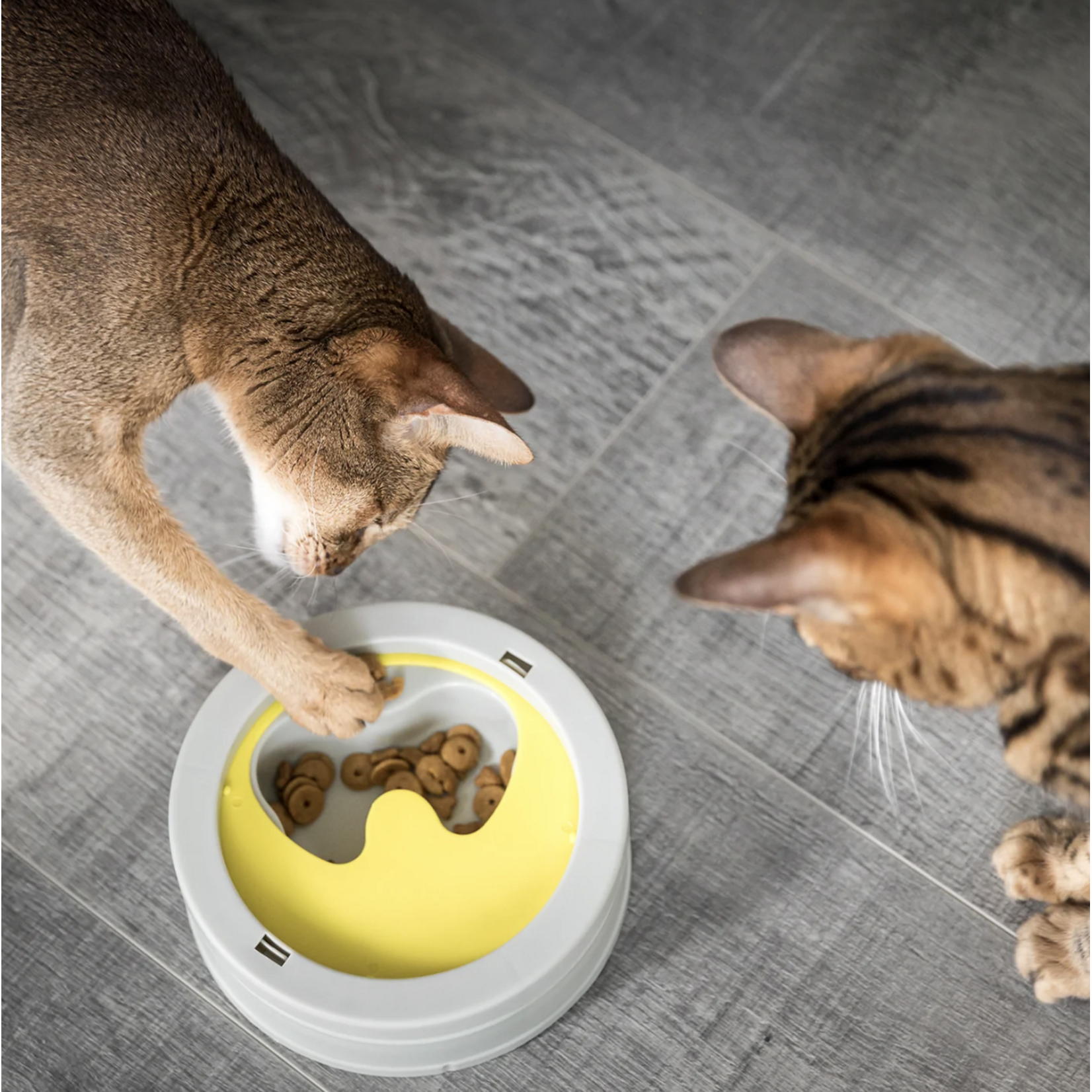 Be One Breed Be One Breed: Intellikatt Interactive Bowl: White