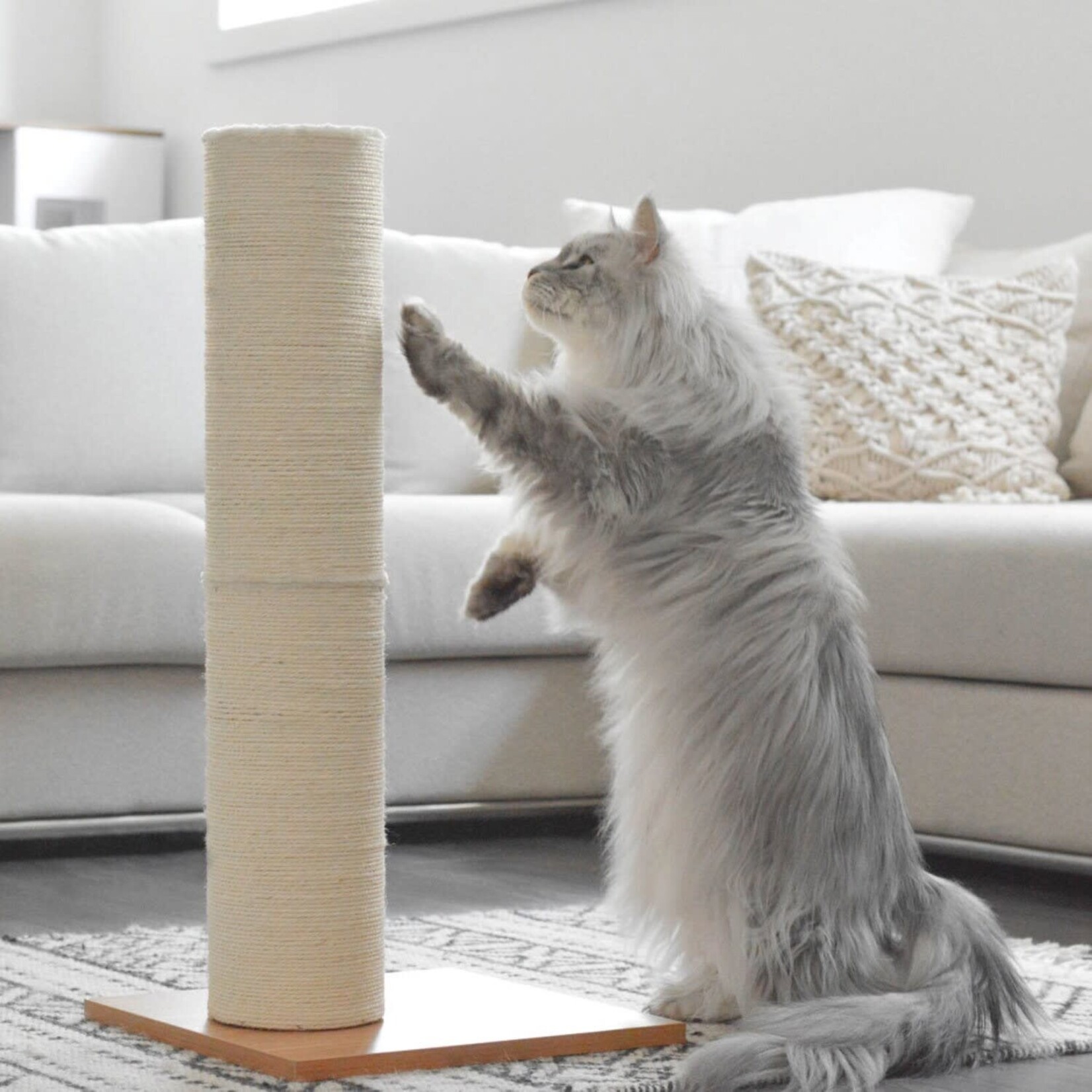 Be One Breed Be One Breed: Sisal Pole Scratcher