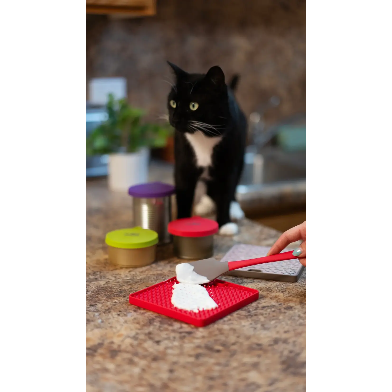 Messy Cats Messy Cats: Silicone Reversible Interactive Feeding Mat