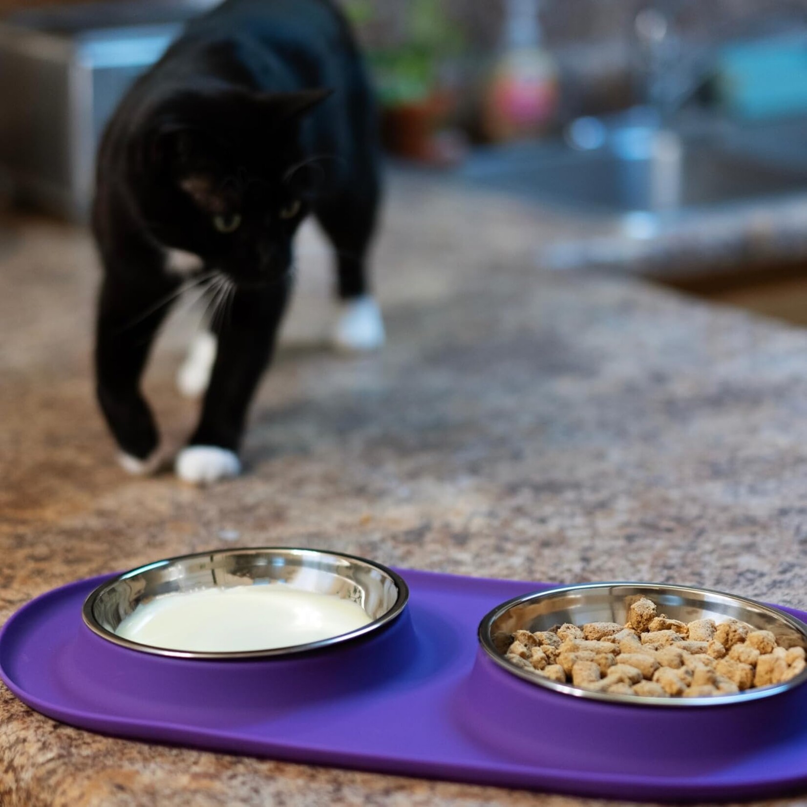 Messy Cats Messy Cats: Double Silicone Feeder: Stainless Saucers M