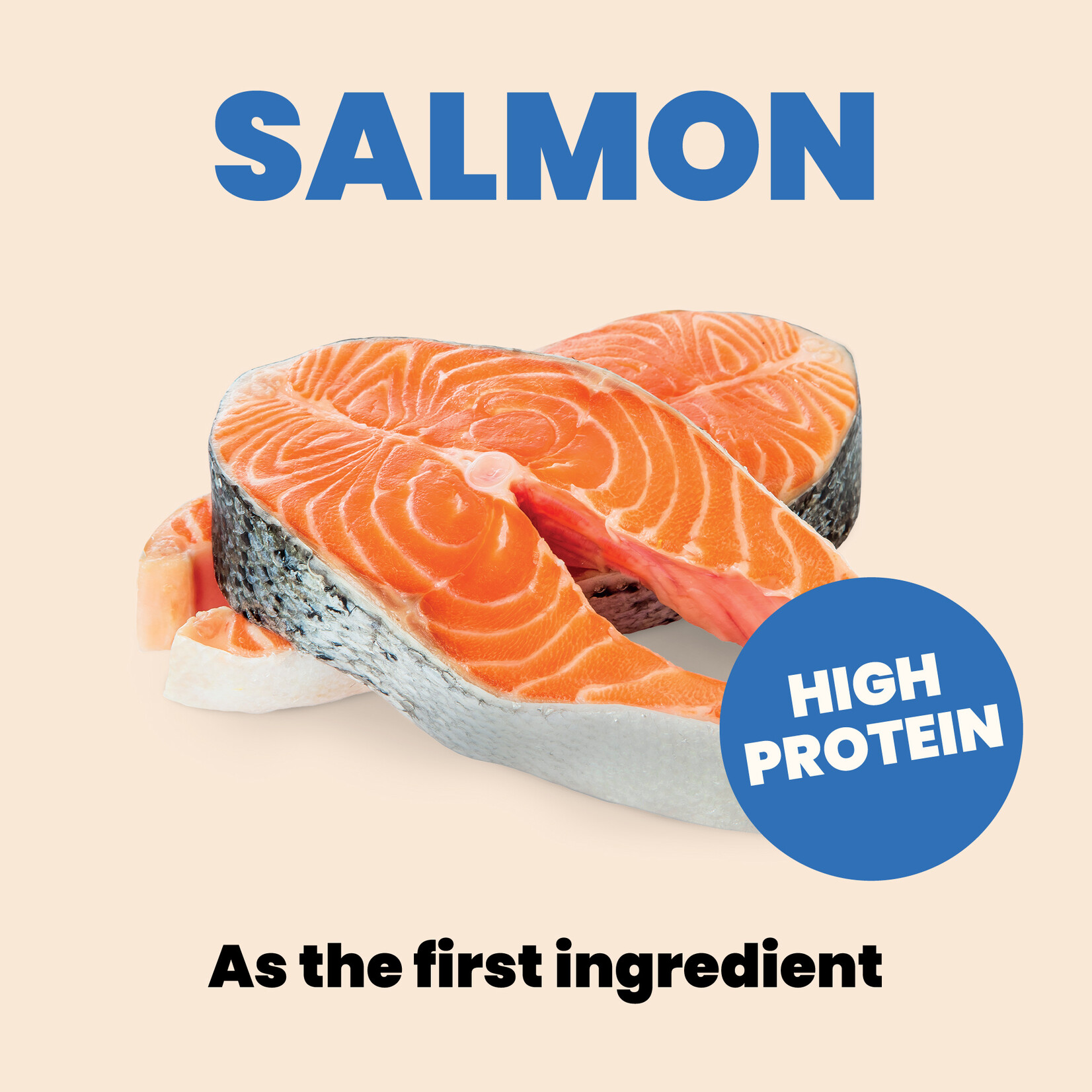Almo Nature Almo Nature Complete: Salmon with Apple 70g