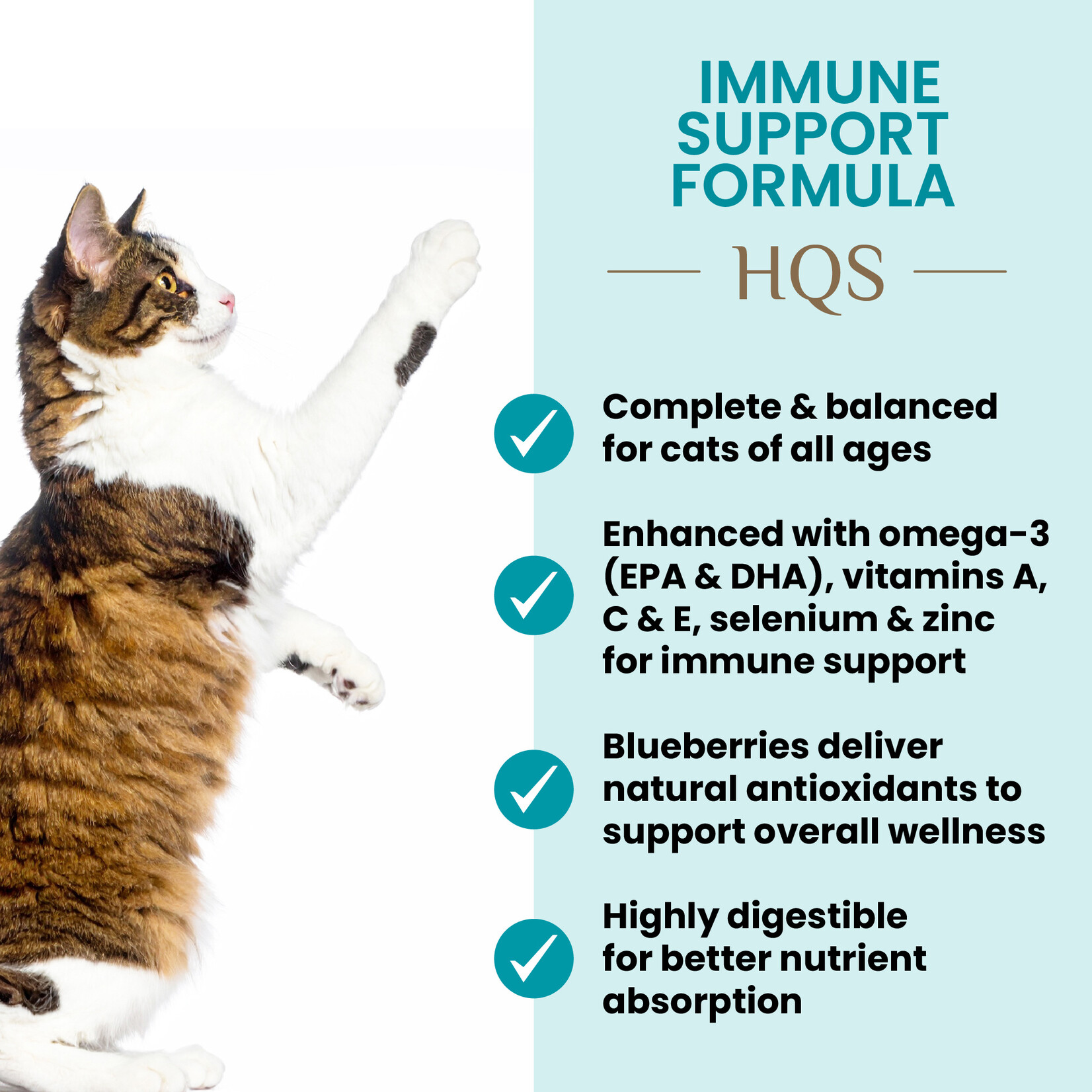 Almo Nature Almo Nature Functionals: Immune Support: Chicken & Blueberry 6x50g