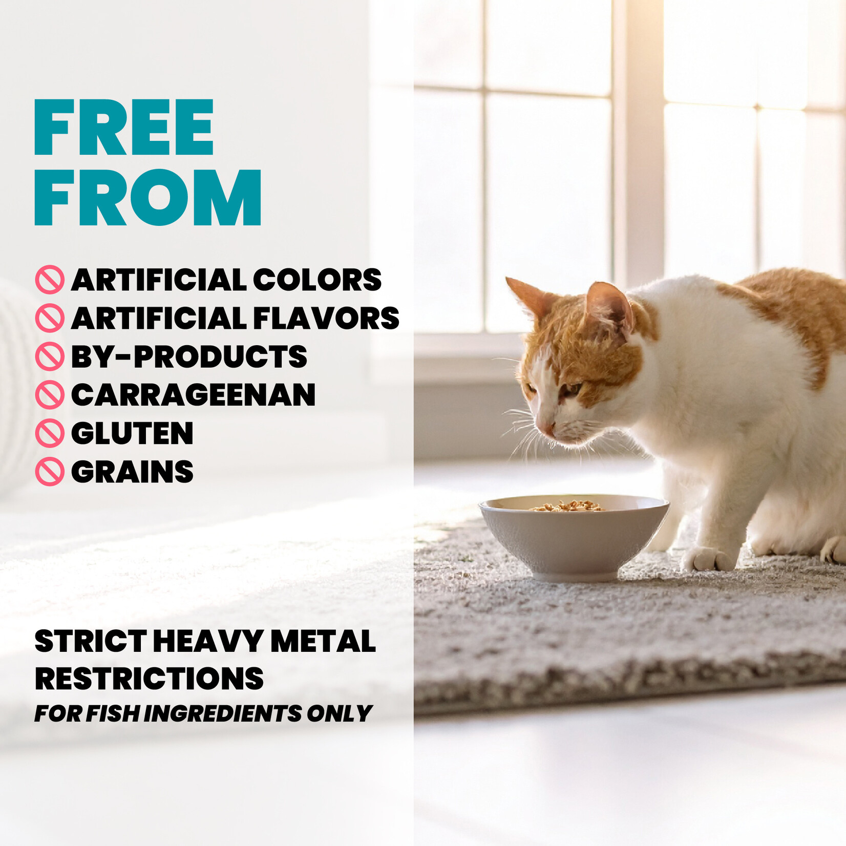 Almo Nature Almo Nature Functionals: Immune Support: Chicken & Blueberry 6x50g