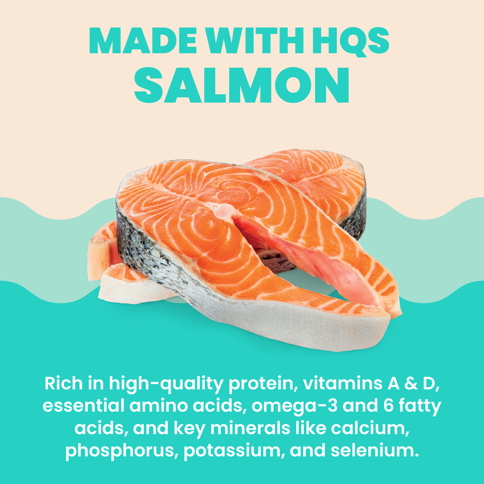 Almo Nature Almo Nature Hydration Help: Salmon 50g