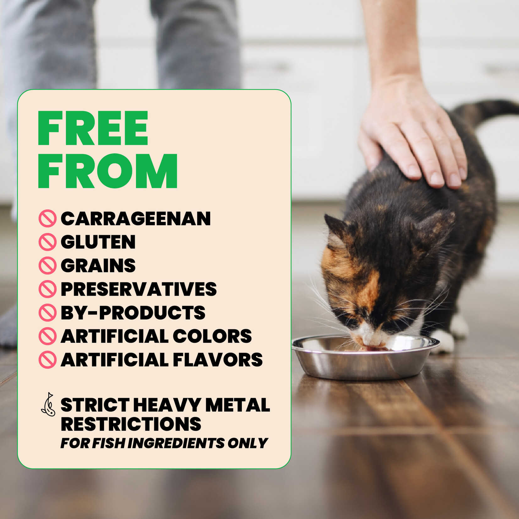 Almo Nature Almo Nature LID: Salmon 70g