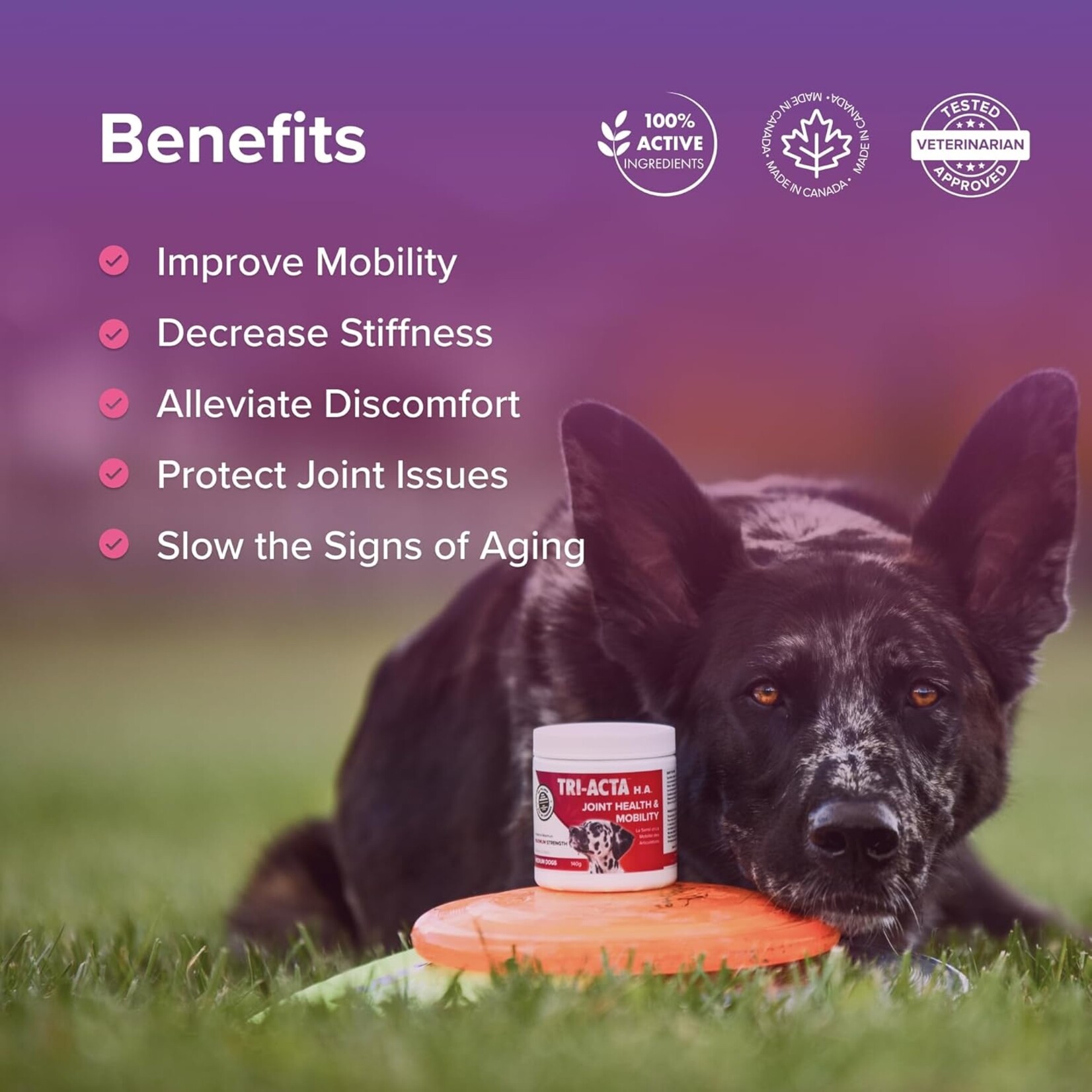 TRI-ACTA Tri-Acta: Joint & Mobility: Maximum Strength