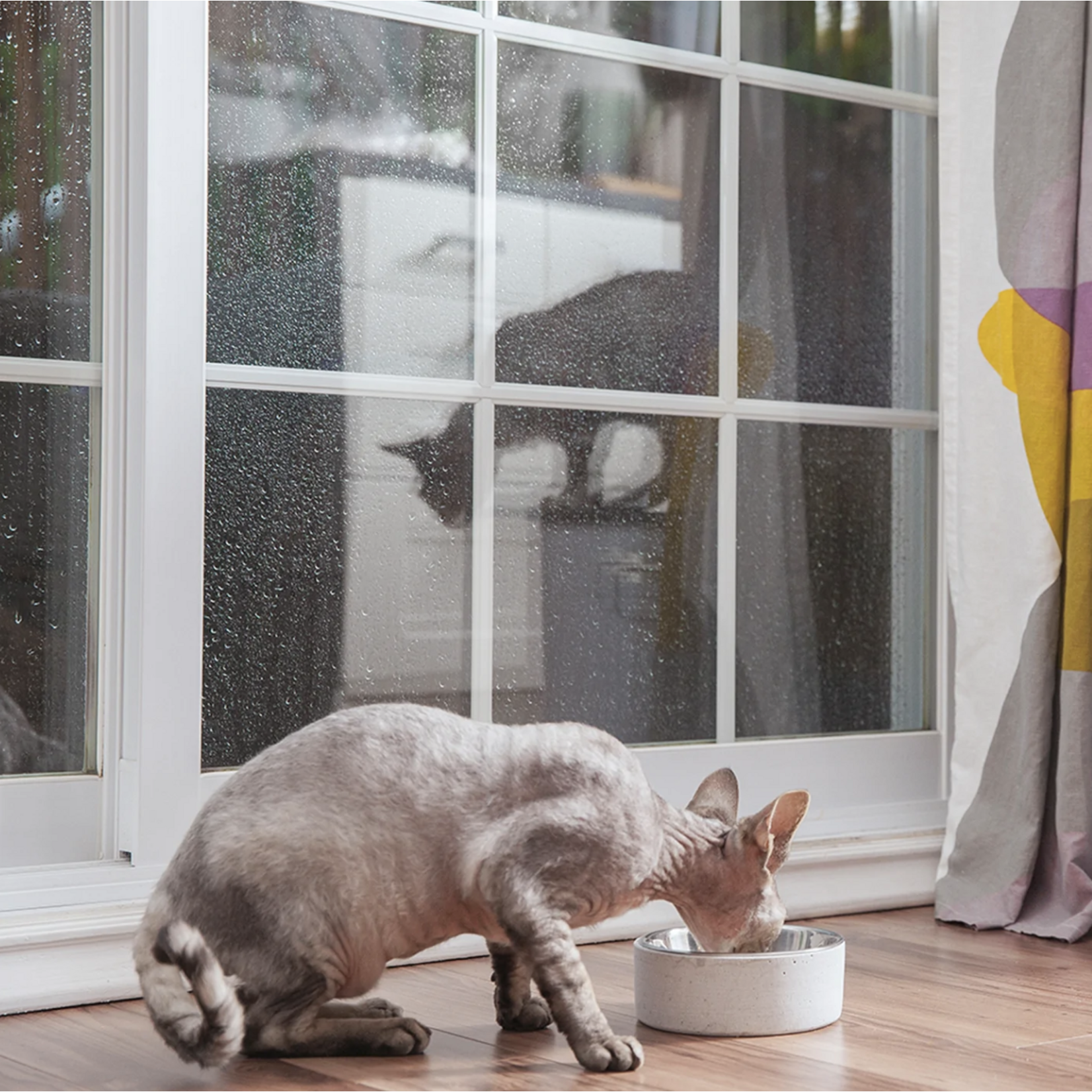 Be One Breed Be One Breed: Stainless Steel Concrete Bowl