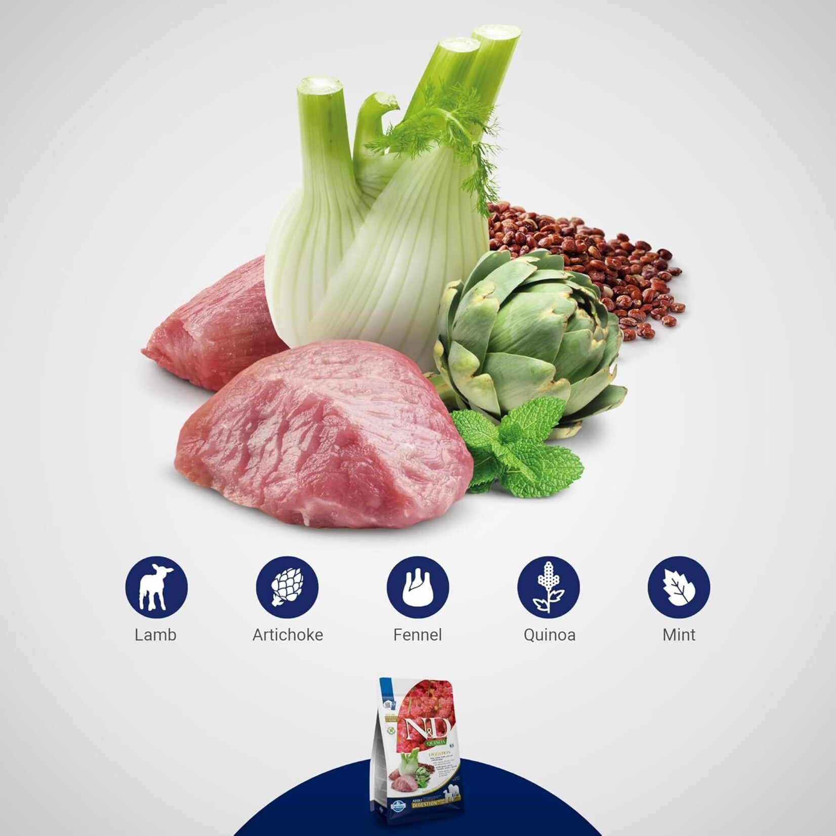 Farmina Farmina Quinoa: Digestion Lamb Adult Mini 5.5lb