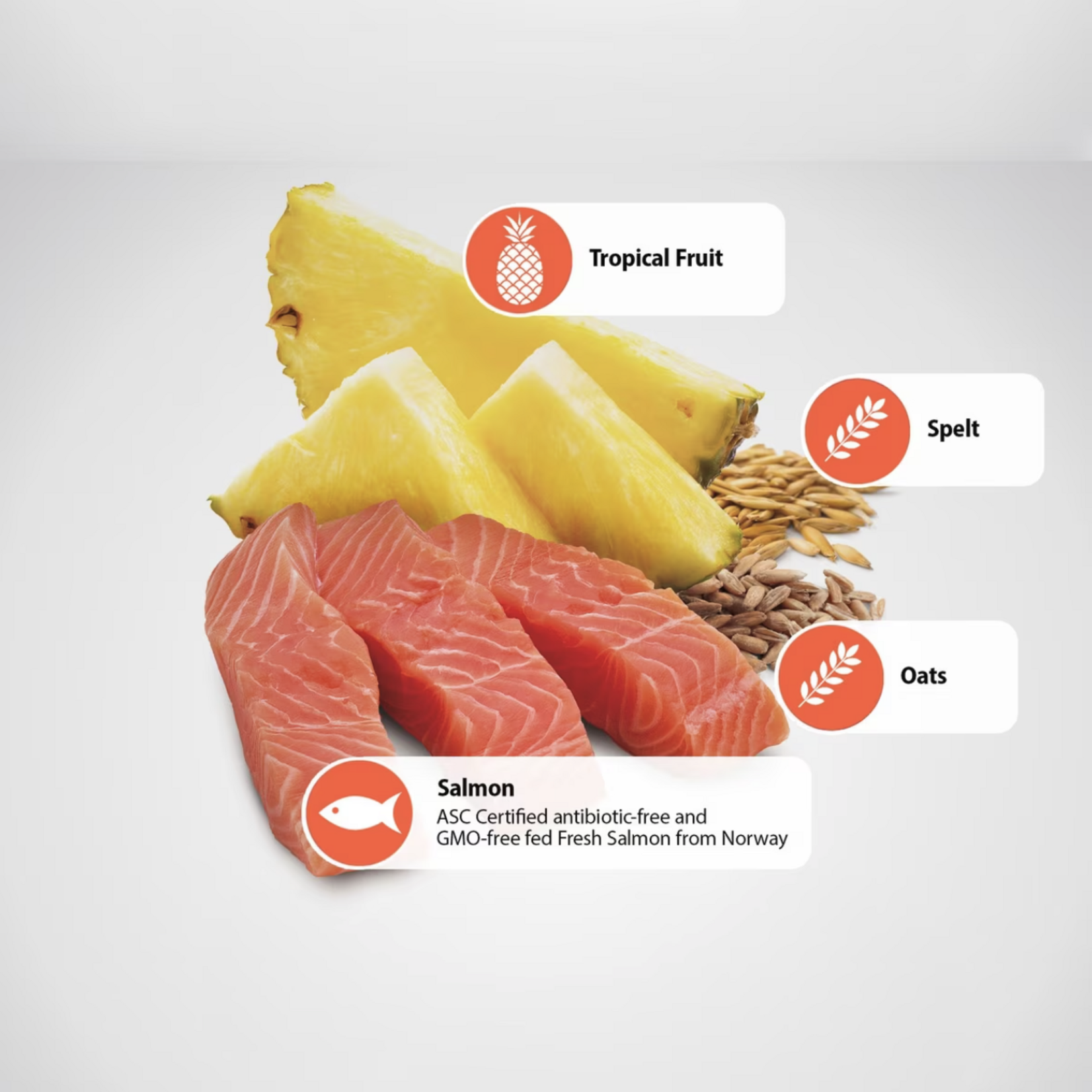 Farmina Farmina Tropical: Salmon