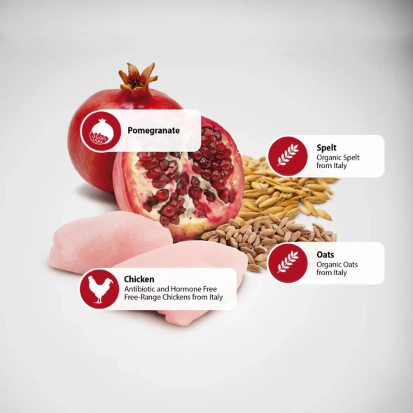 Farmina Farmina Ancestral Grain: Chicken & Pomegranate