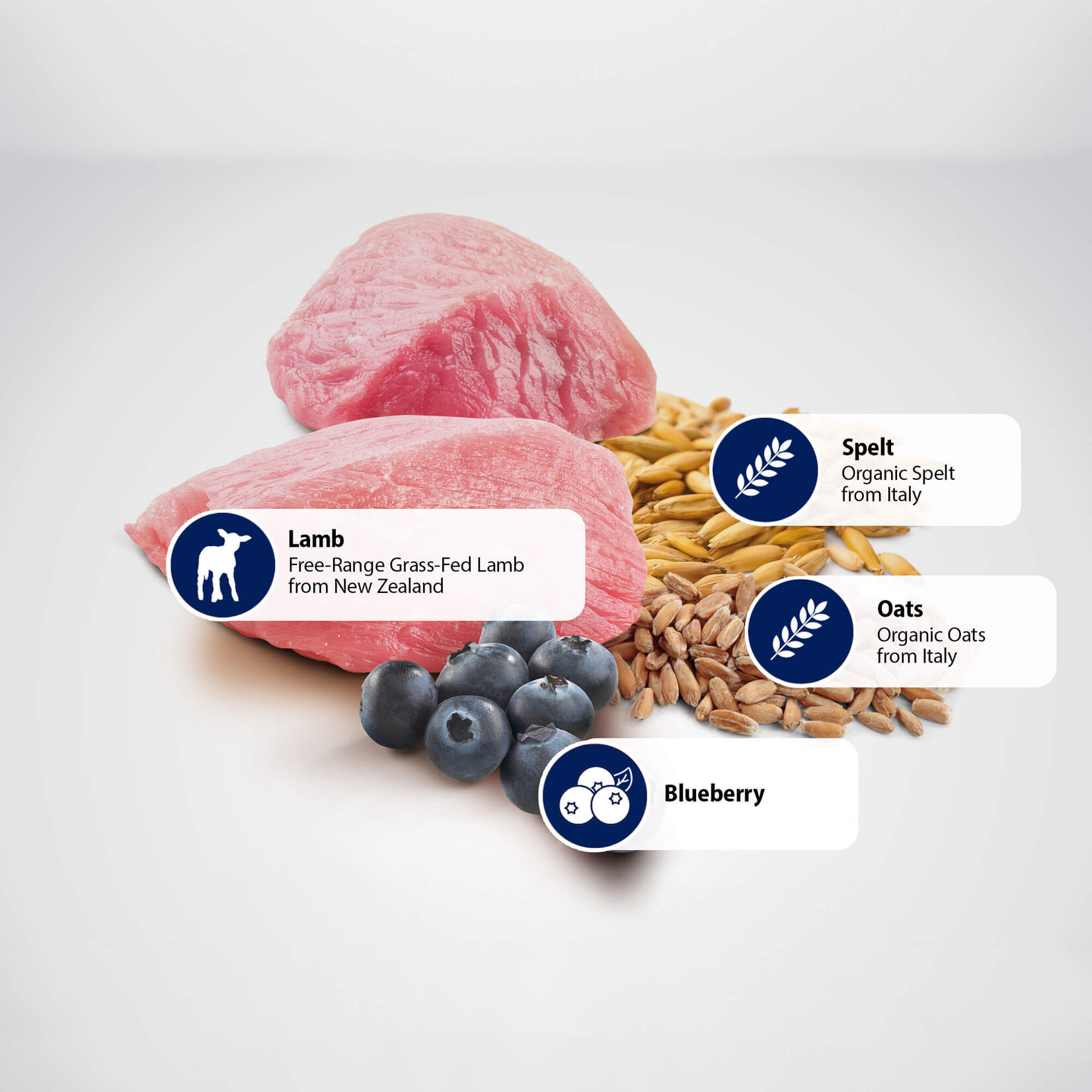 Farmina Farmina Ancestral Grain: Lamb & Blueberry