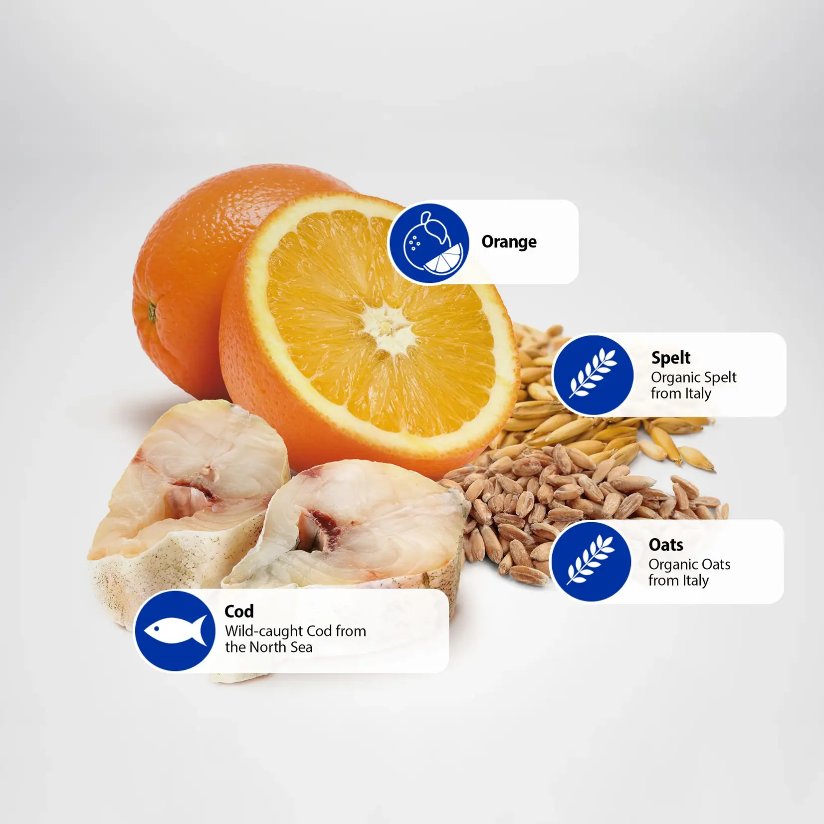 Farmina Farmina Ocean: Cod & Orange