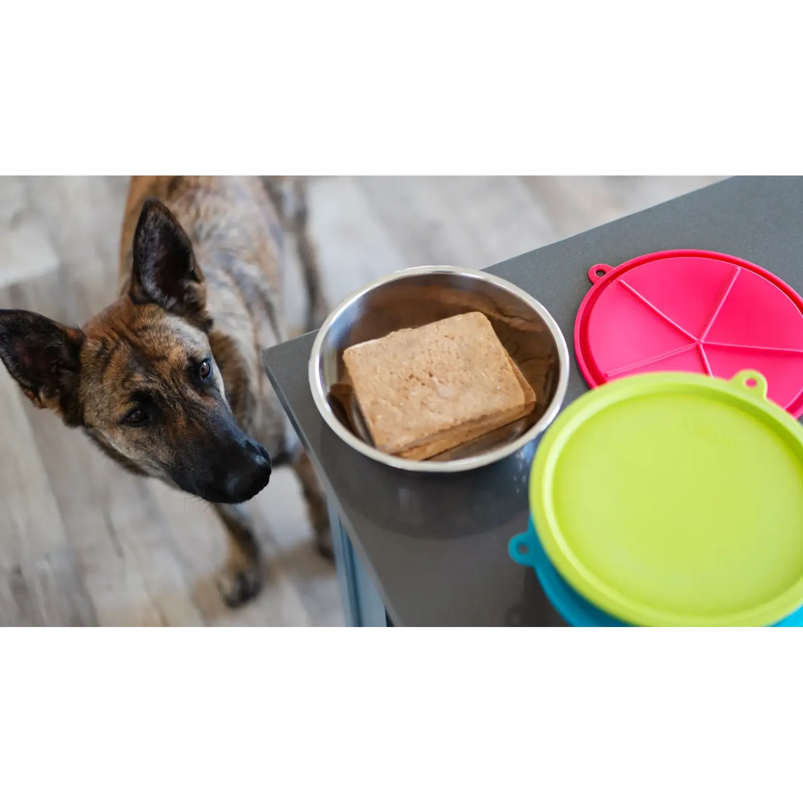 Messy Mutts Messy Mutts: Stainless Saucer with Silicone Lids: 6pc Set