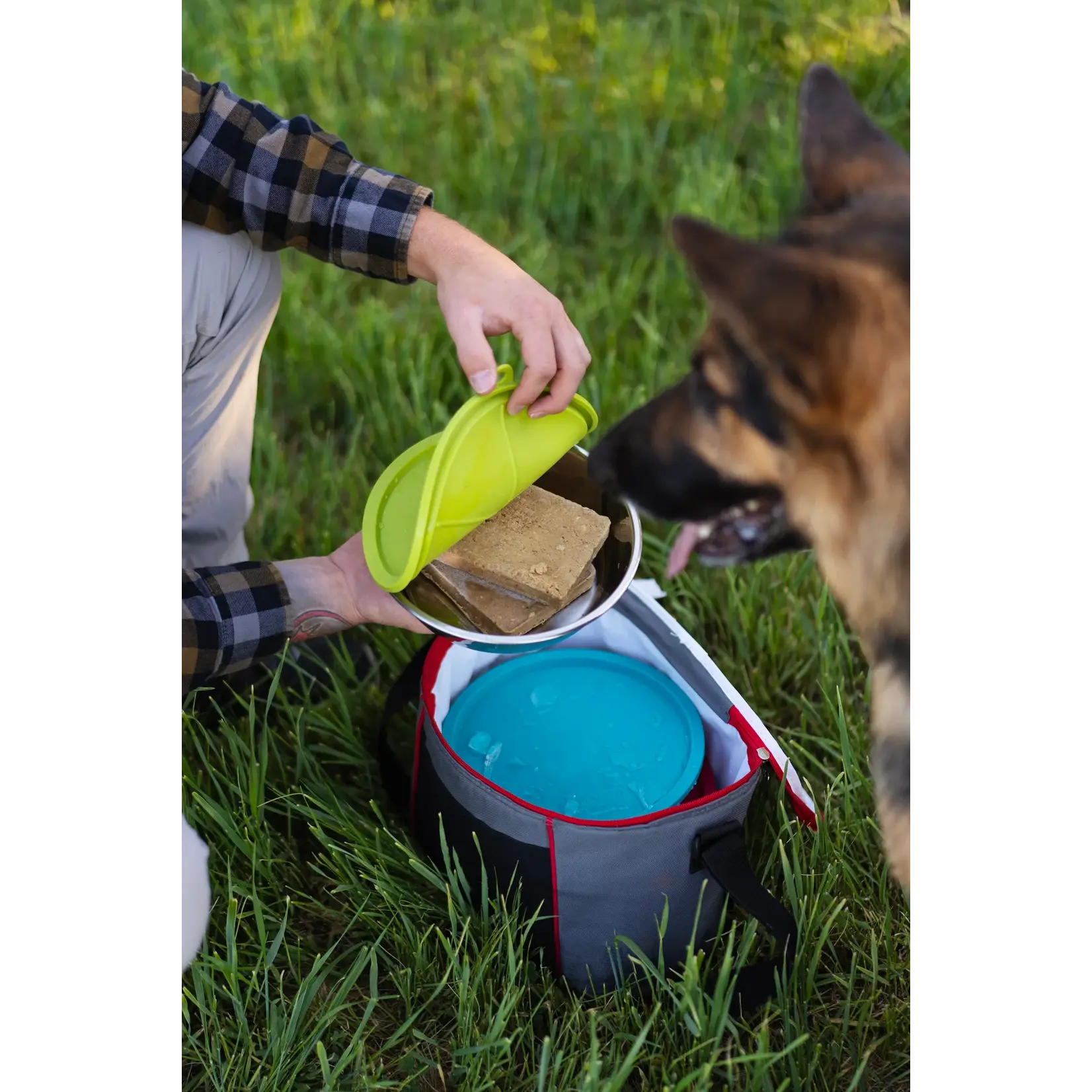 Messy Mutts Messy Mutts: Stainless Saucer with Silicone Lids: 6pc Set