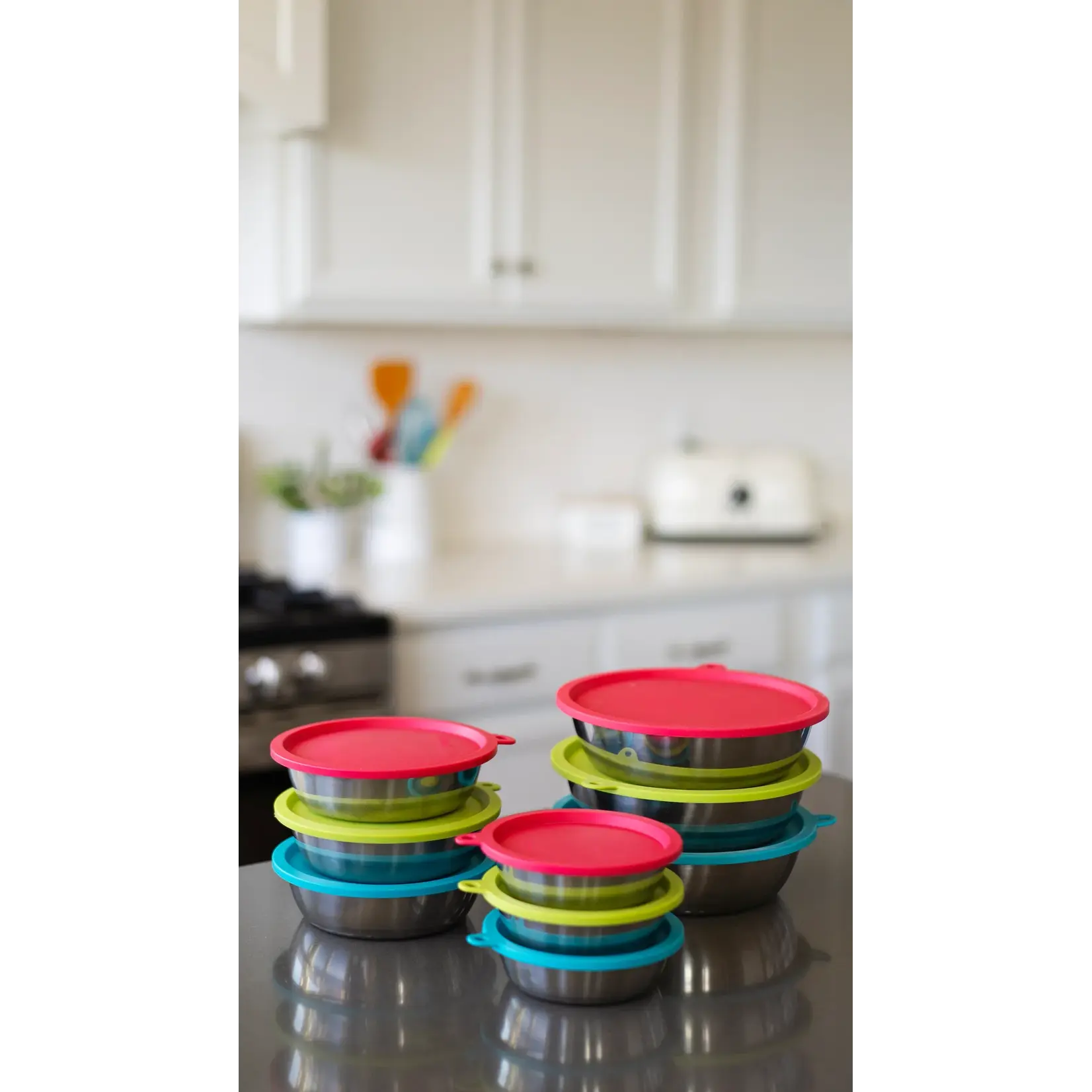 Messy Mutts Messy Mutts: Stainless Saucer with Silicone Lids: 6pc Set