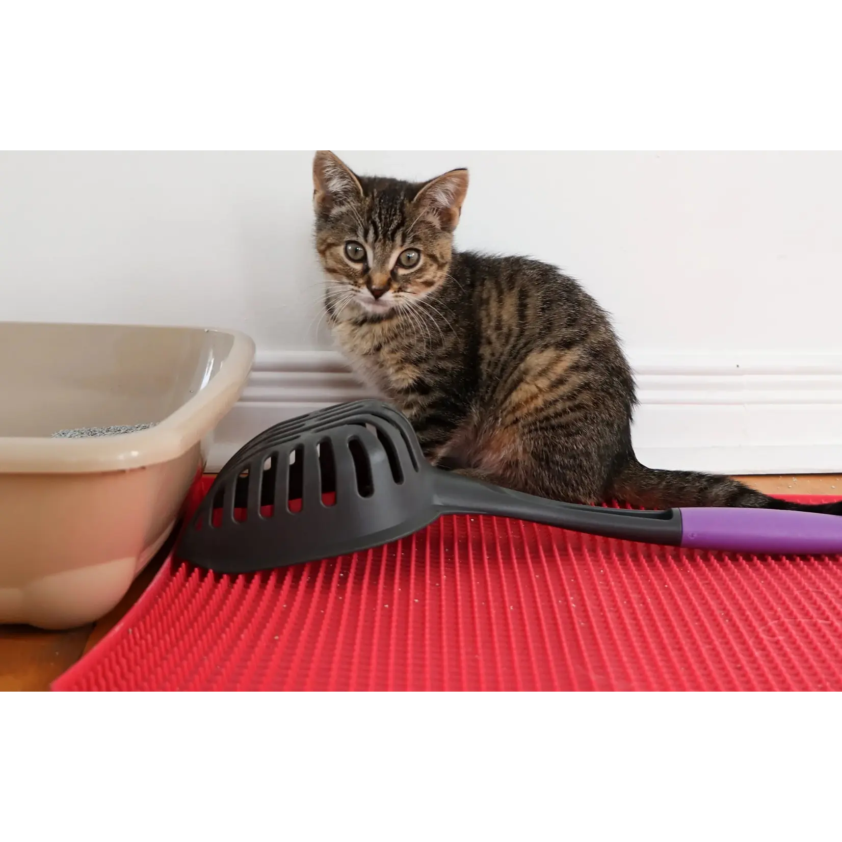 Messy Cats Messy Cats: XL Long Handle Litter Scoop