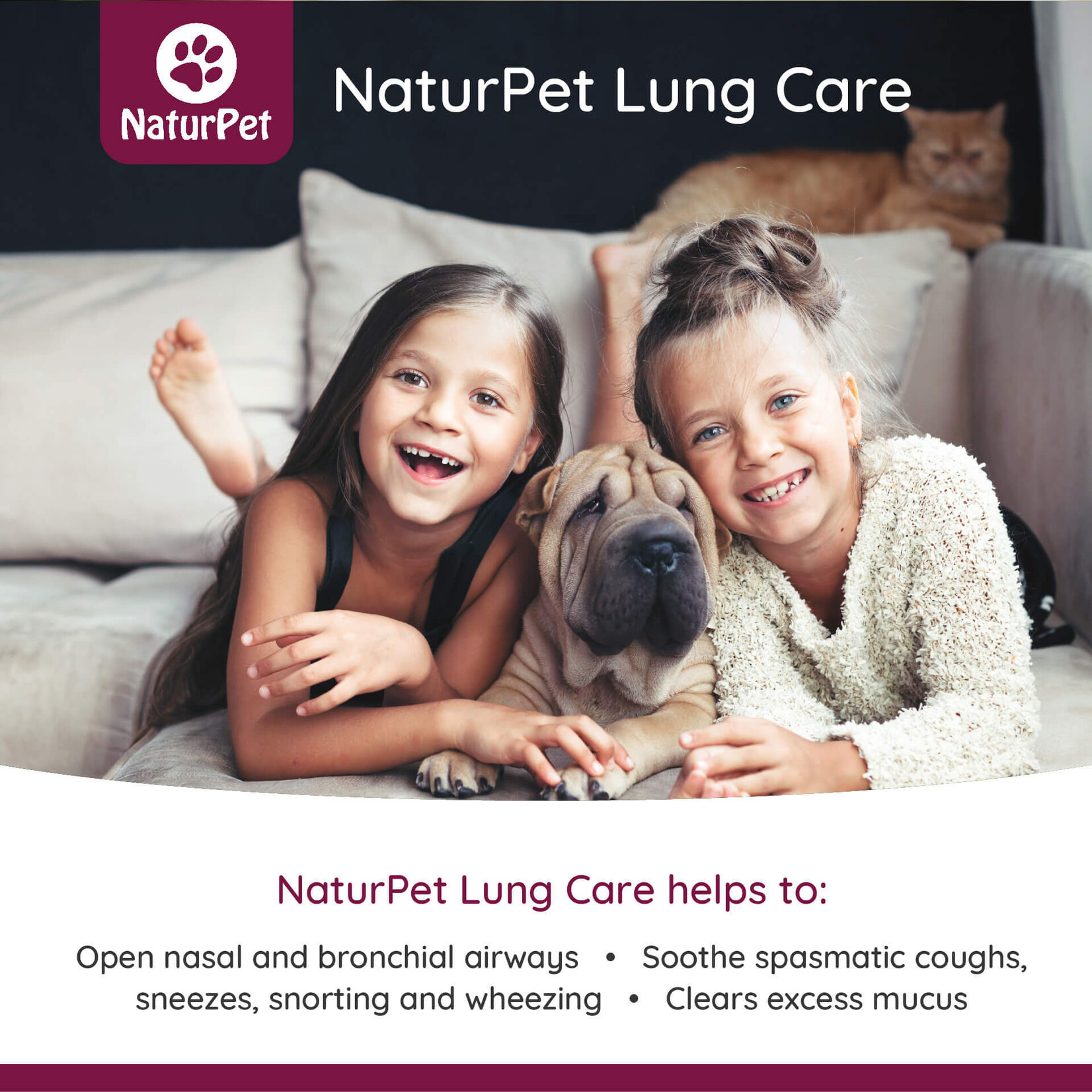 NaturPet NaturPet: Lung Care 100mL