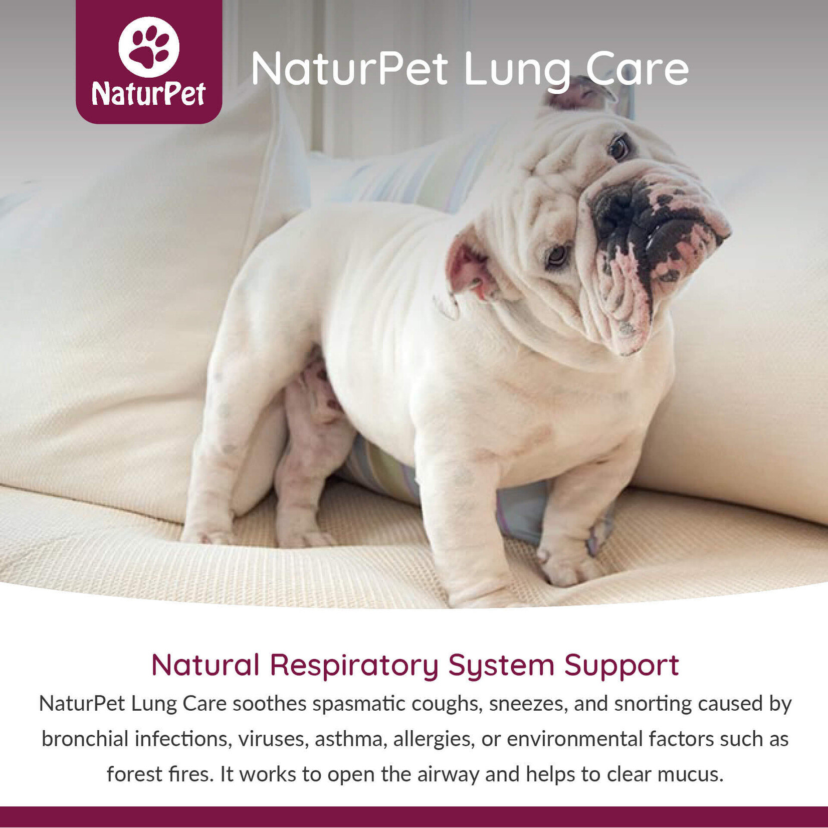 NaturPet NaturPet: Lung Care 100mL