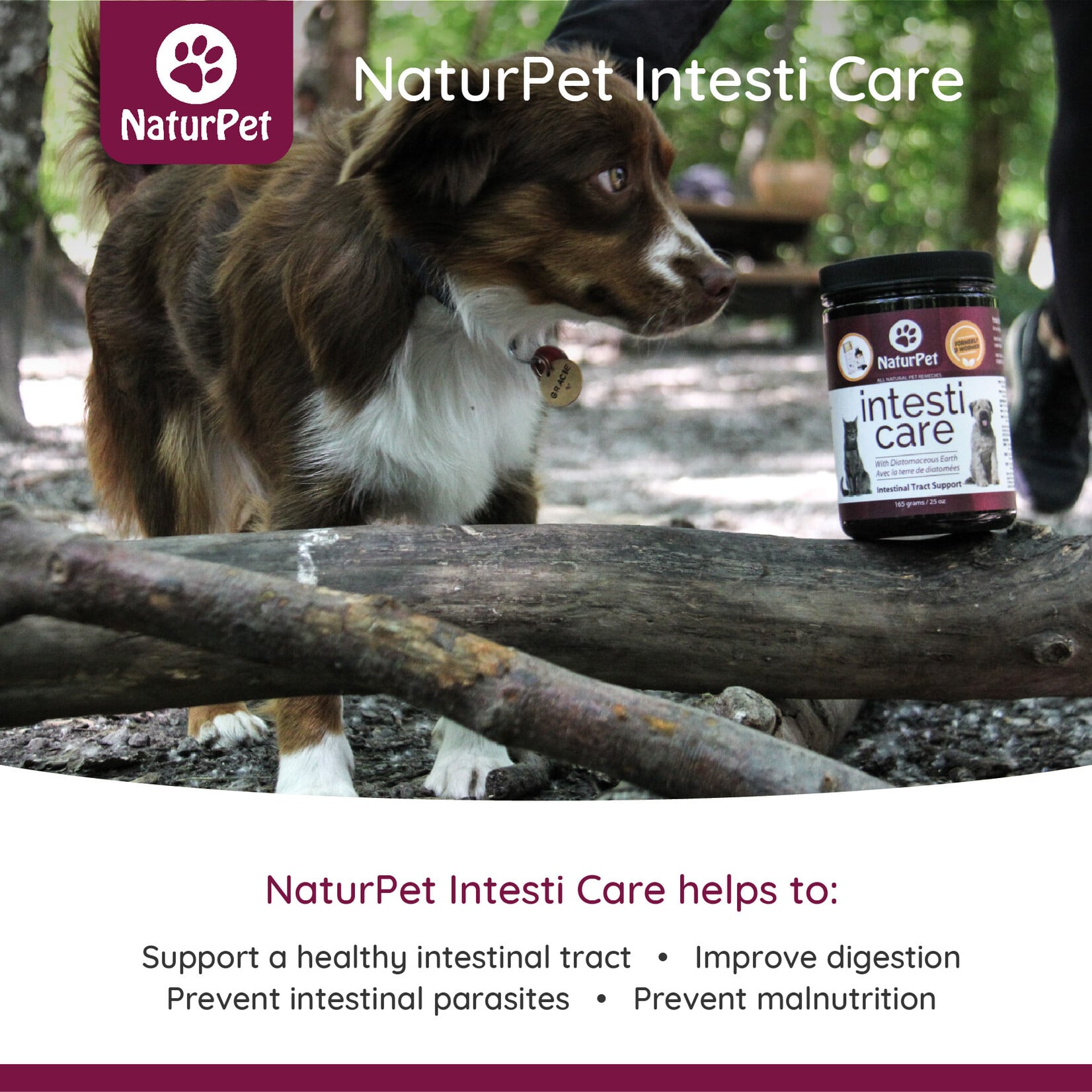 NaturPet NaturPet: Intesti Care 165g