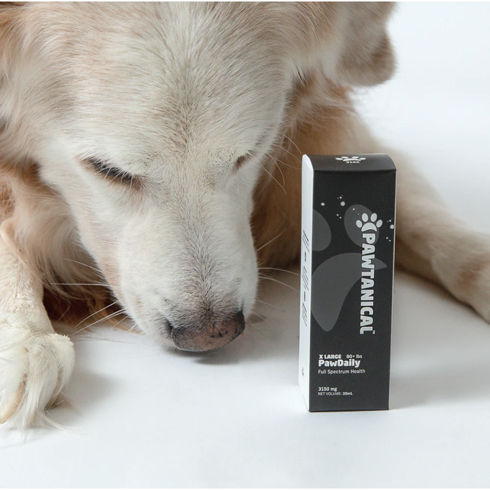 Pawtanicals Pawtanicals: PawDaily Full Spectrum Hemp Health Oil, XL 3150mg