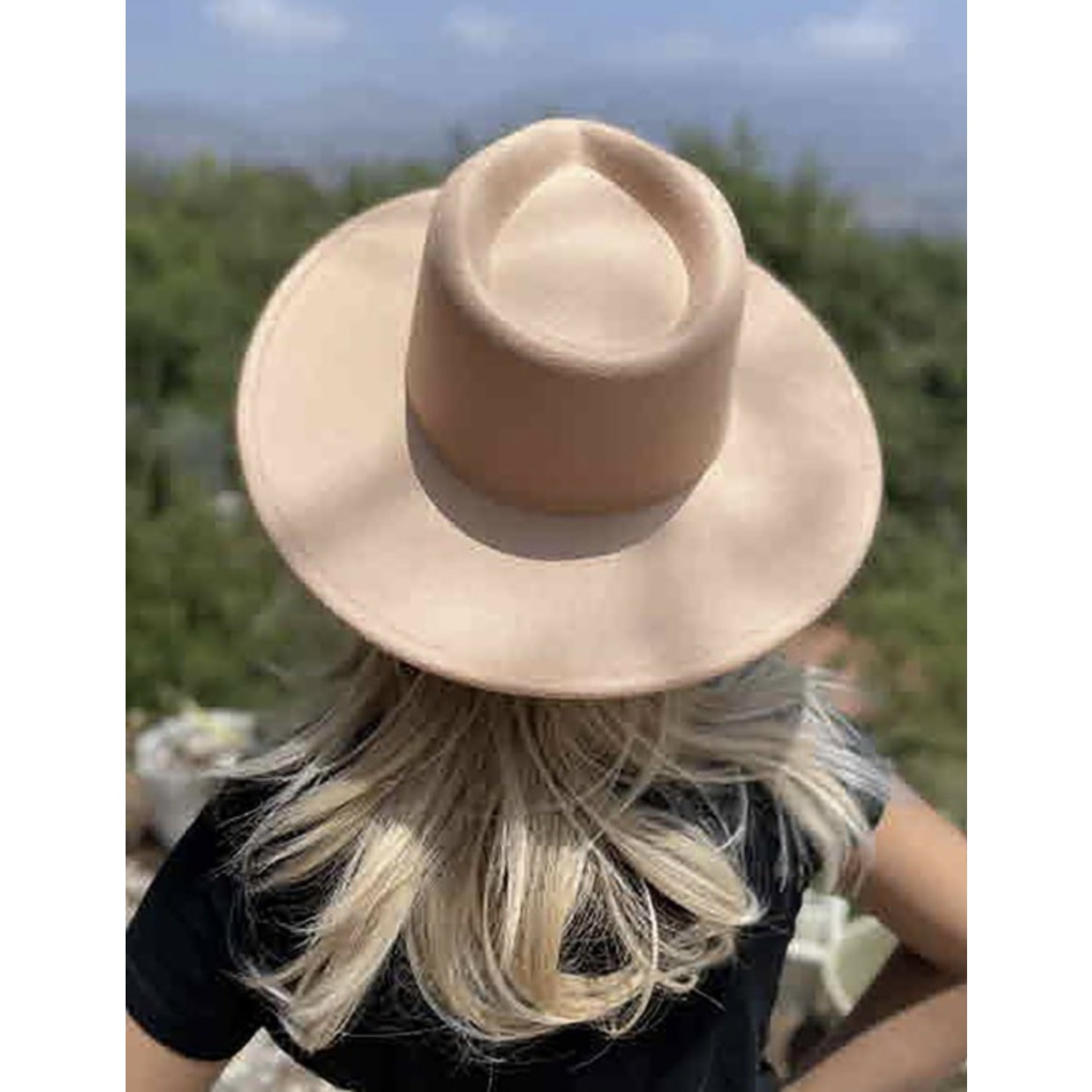 Wide Brim Felt Hat in Camel