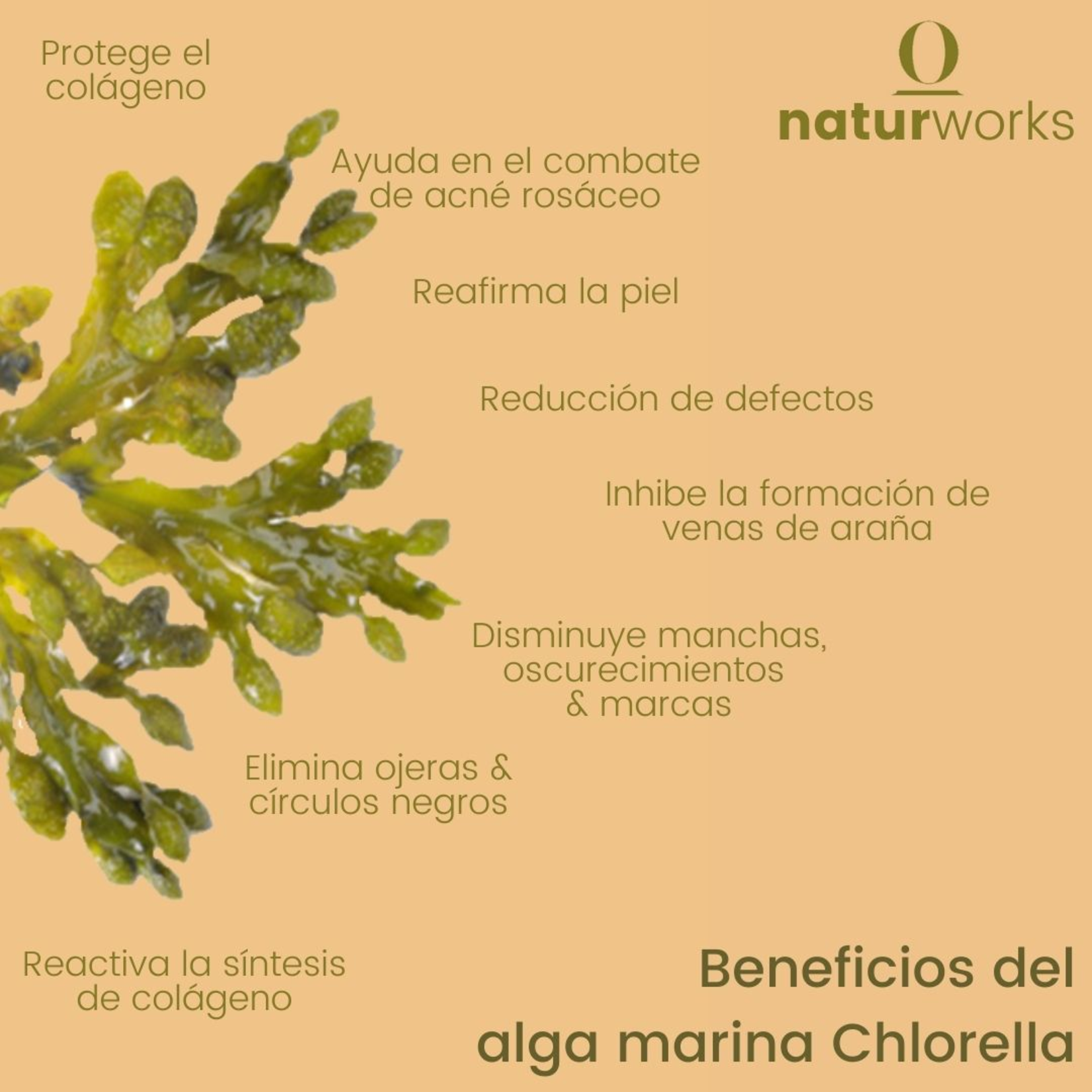 Naturworks Suero contorno de ojos Naturworks acido hialuronico y alga marina 10 ml