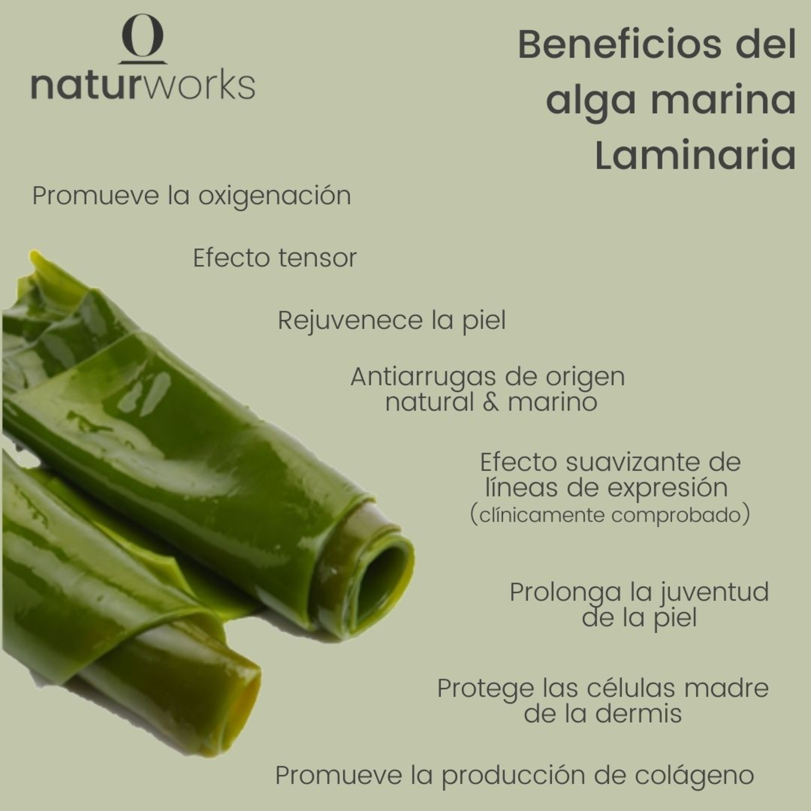 Naturworks Suero Naturworks Antiarrugas con alga marina y acido hialuronico 30 ml