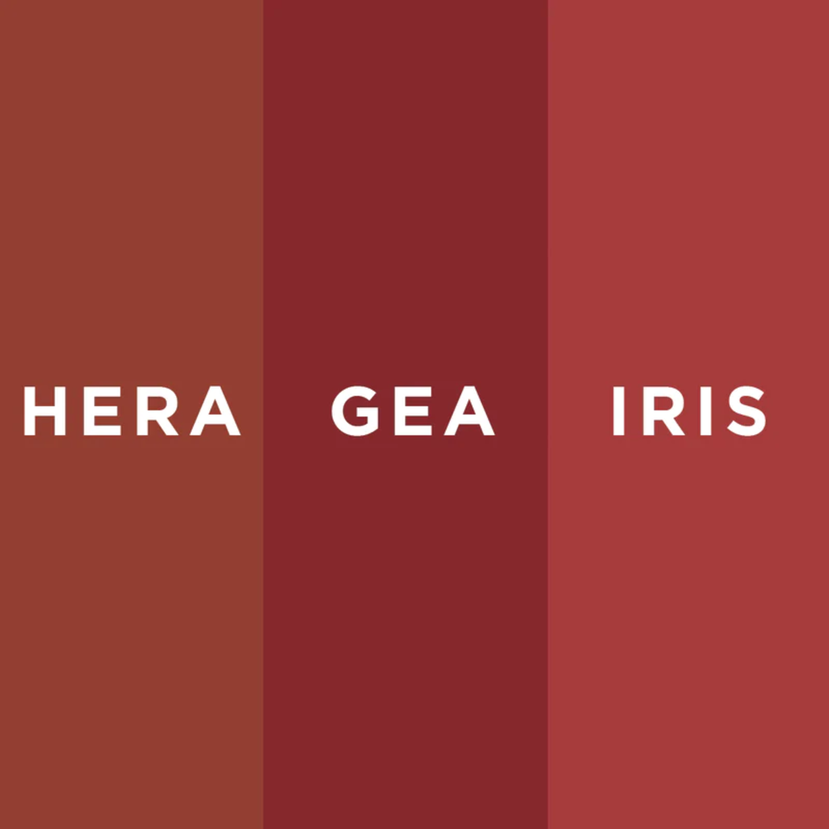 Teia Rubor de betabel polvo Teia Iris