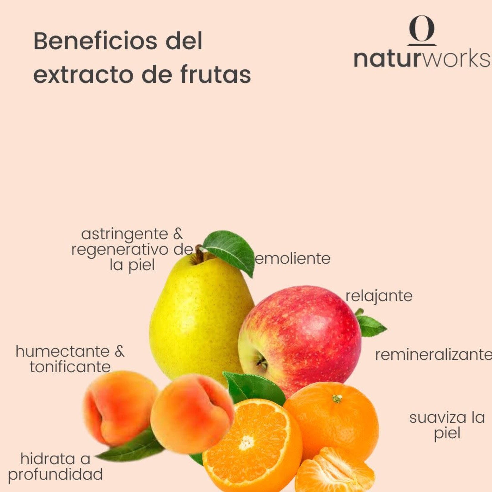 Naturworks Agua micelar Naturworks extracto frutal 120 ml