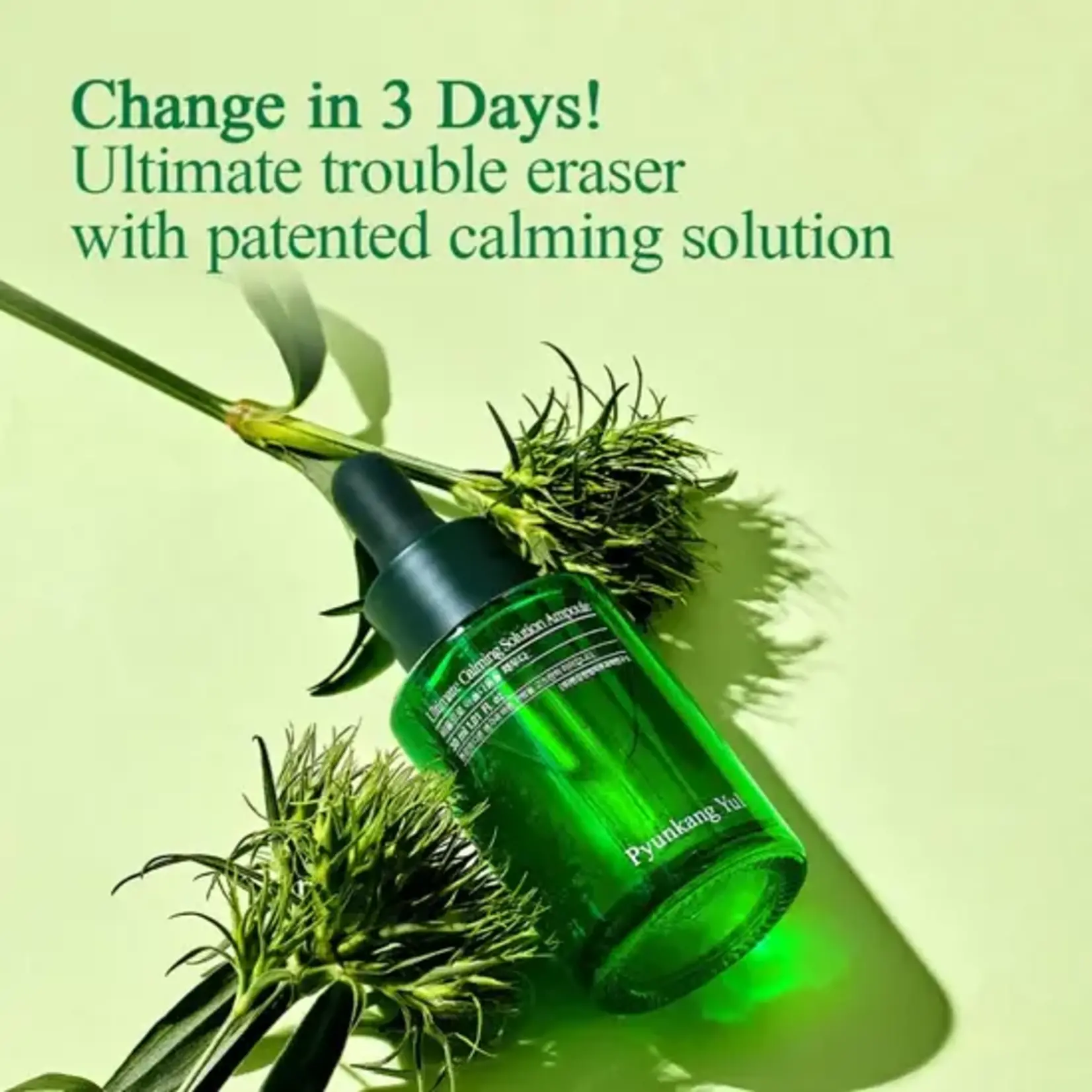 Pyunkang Yul Ampoule Pyunkang Yul Ultimate Calming Solution 30 ml