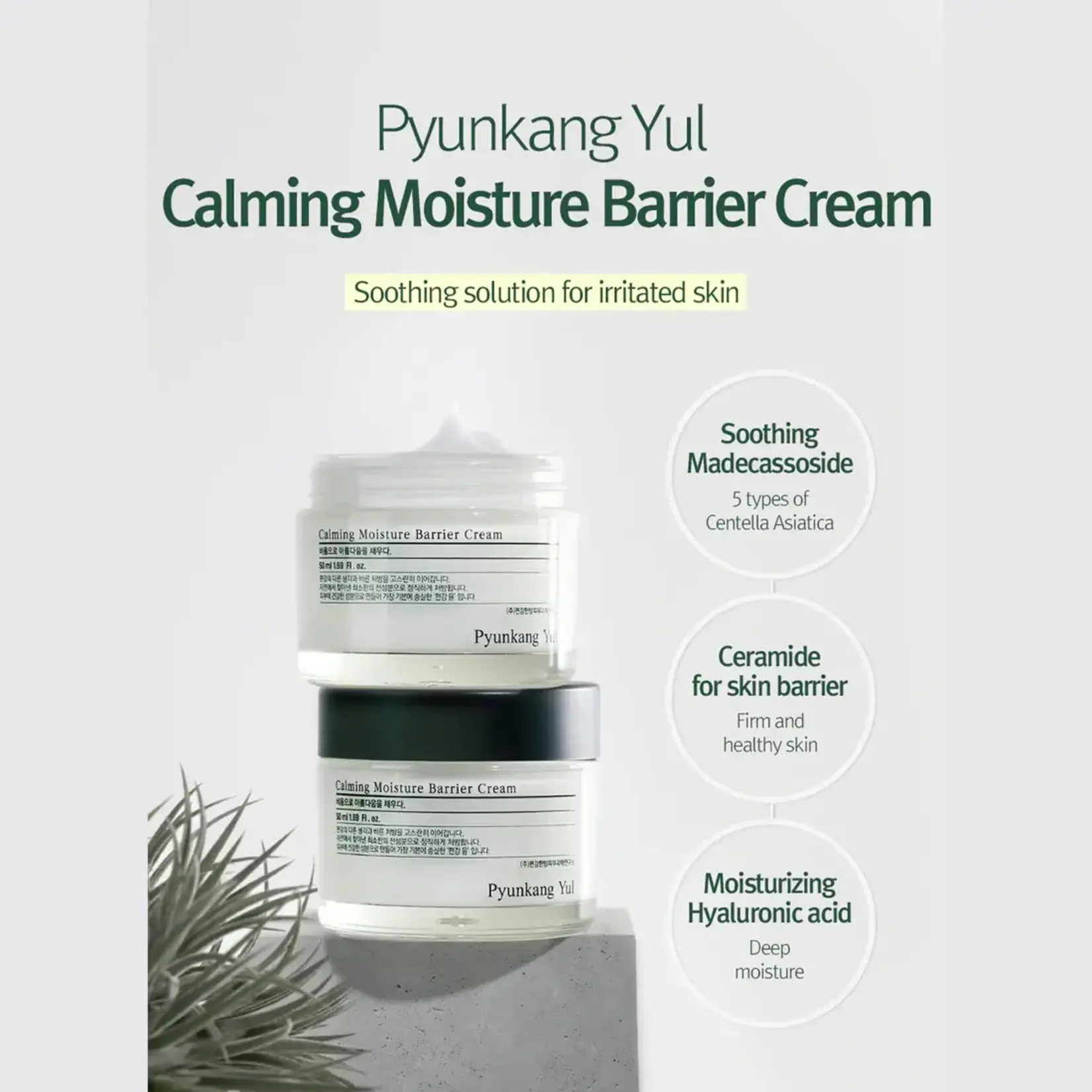 Pyunkang Yul Crema facial Pyunkang Yul Calming Moisture Barrier 50 ml