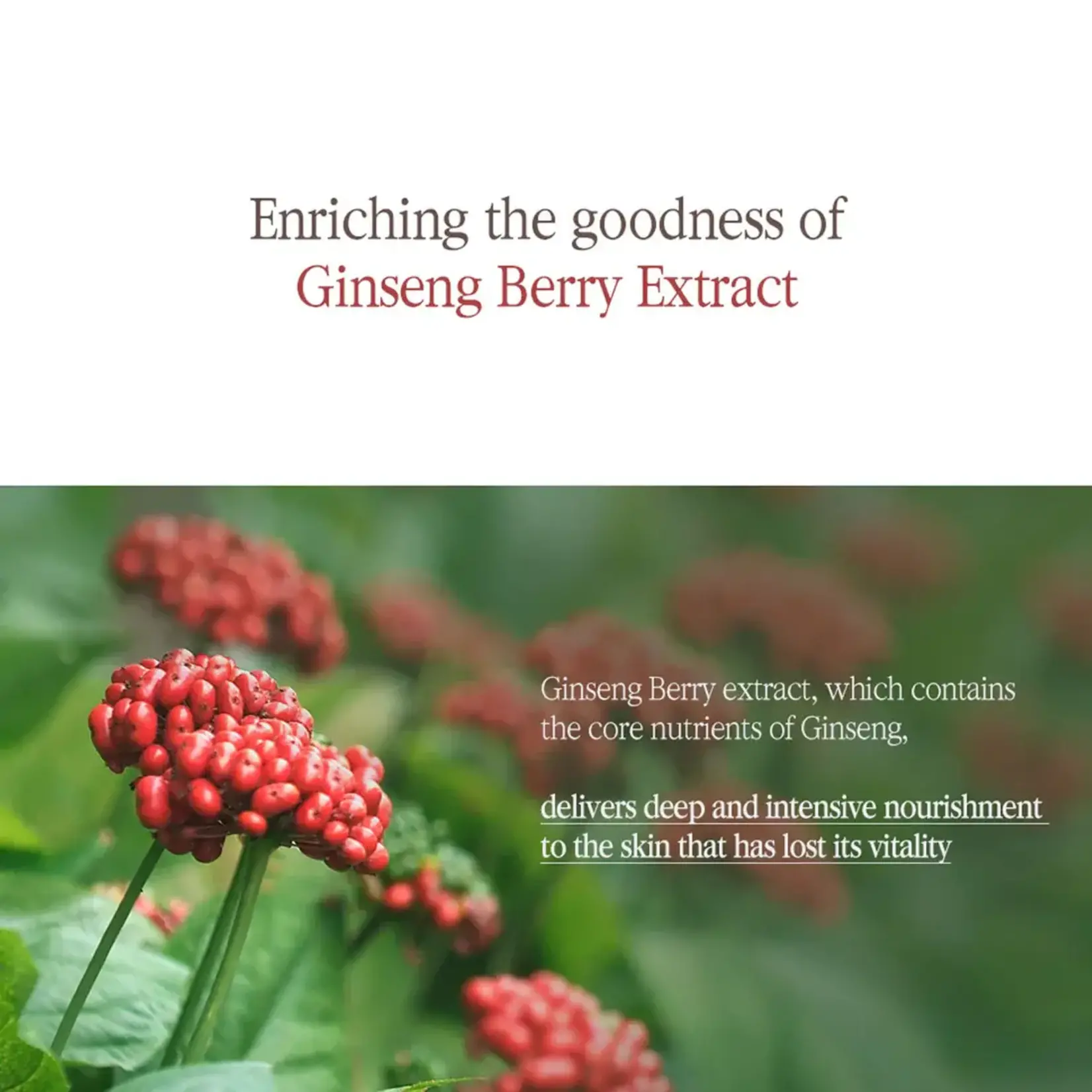 Pyunkang Yul Suero Pyunkang Yul Black Tea 45 ml