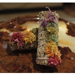 White Sage - sinuata Flower