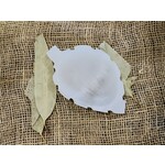 Selenite Leaf - $39.95