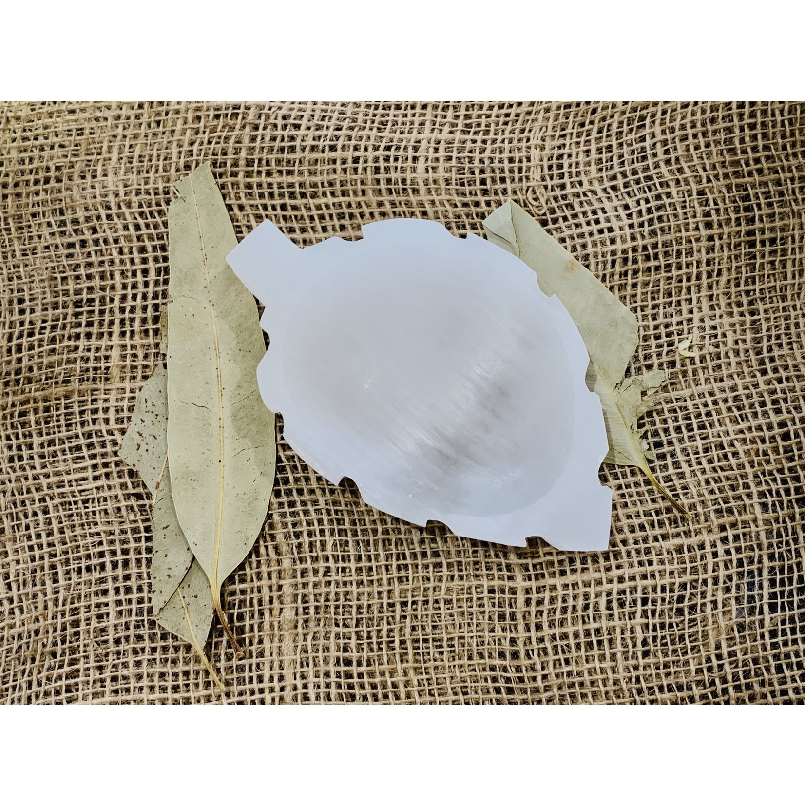 Selenite Leaf - $39.95