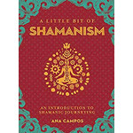 A Little Bit Of - Shamanism
